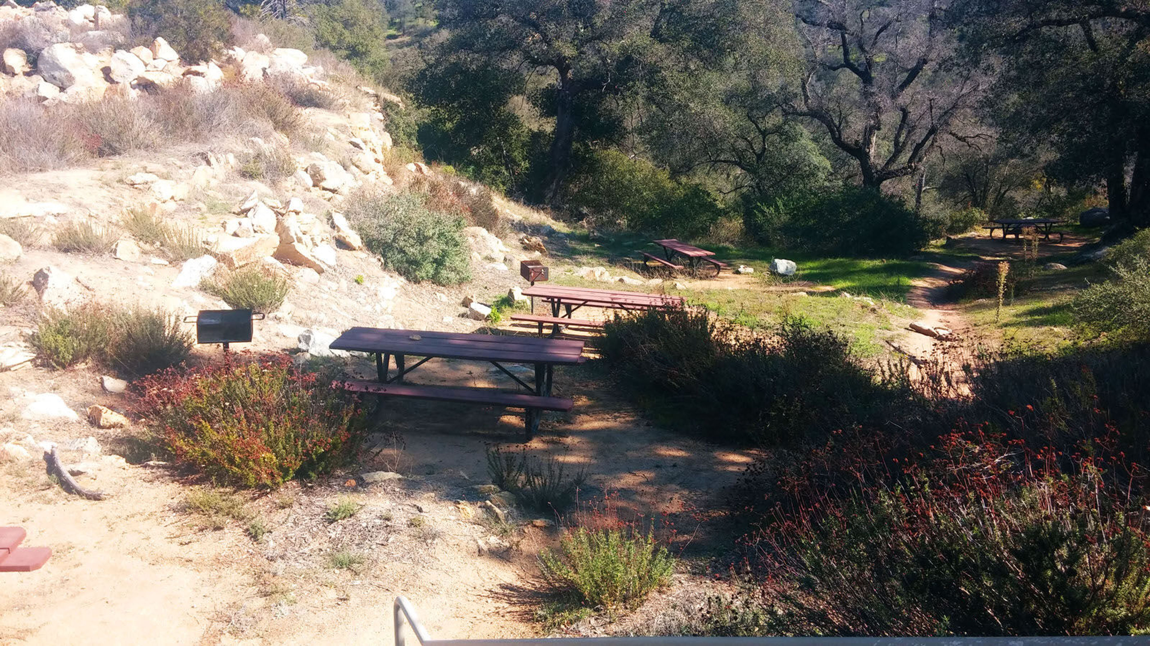 Inaja Memorial Picnic Site. Photo by USFS.