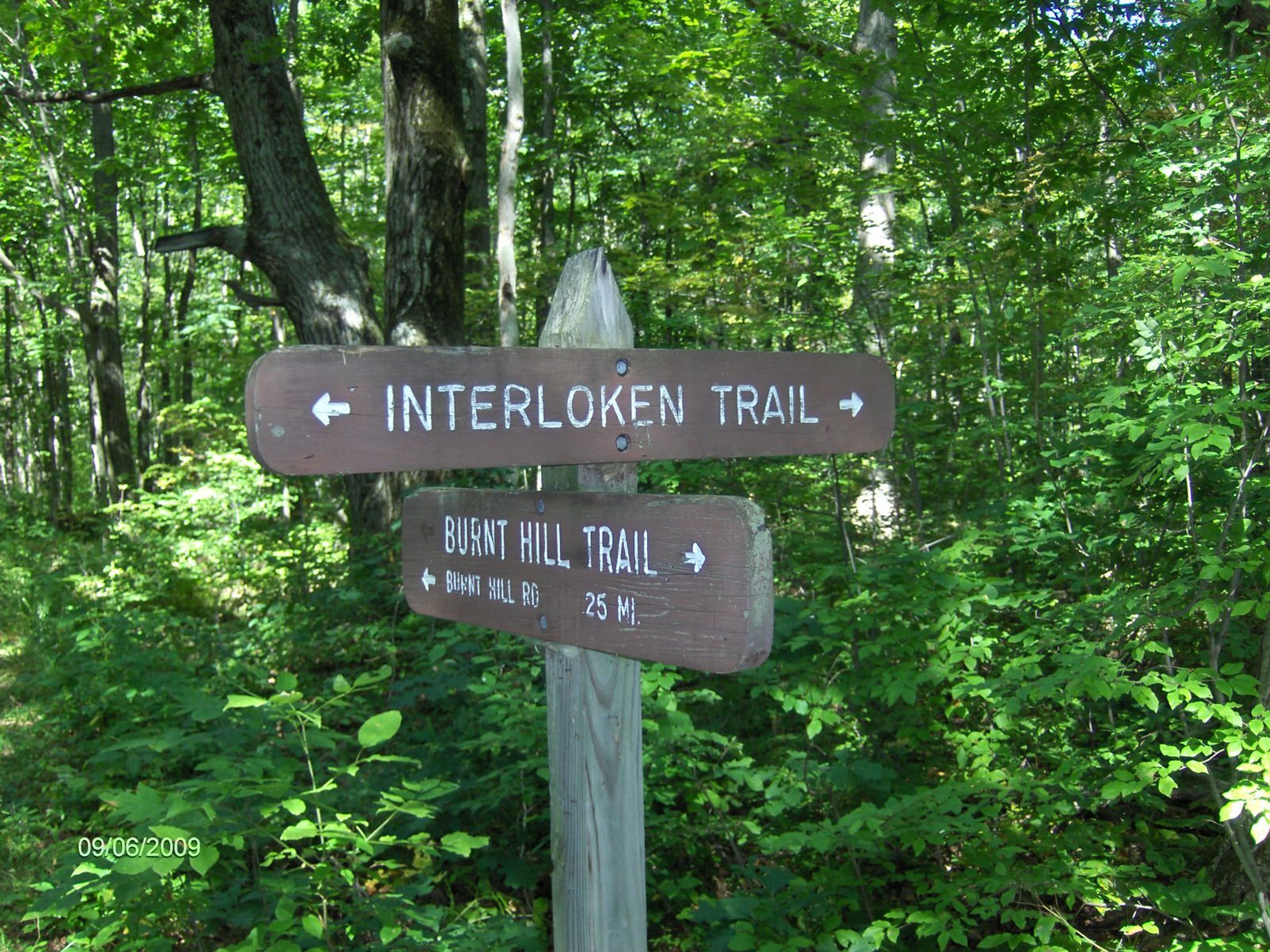 Wayfinding sign on the Interloken Trail in Finger Lakes National Forest. Photo by Edmund Ressler/CNYhiking.com.