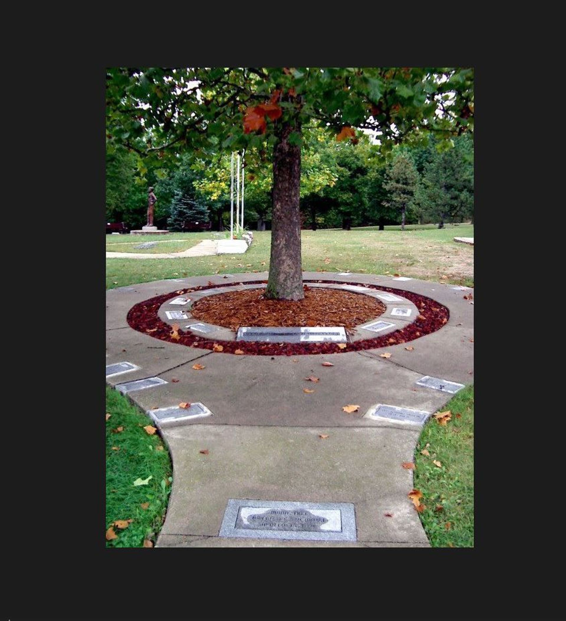 Moon Tree at Memory Lane. Photo by IFF.