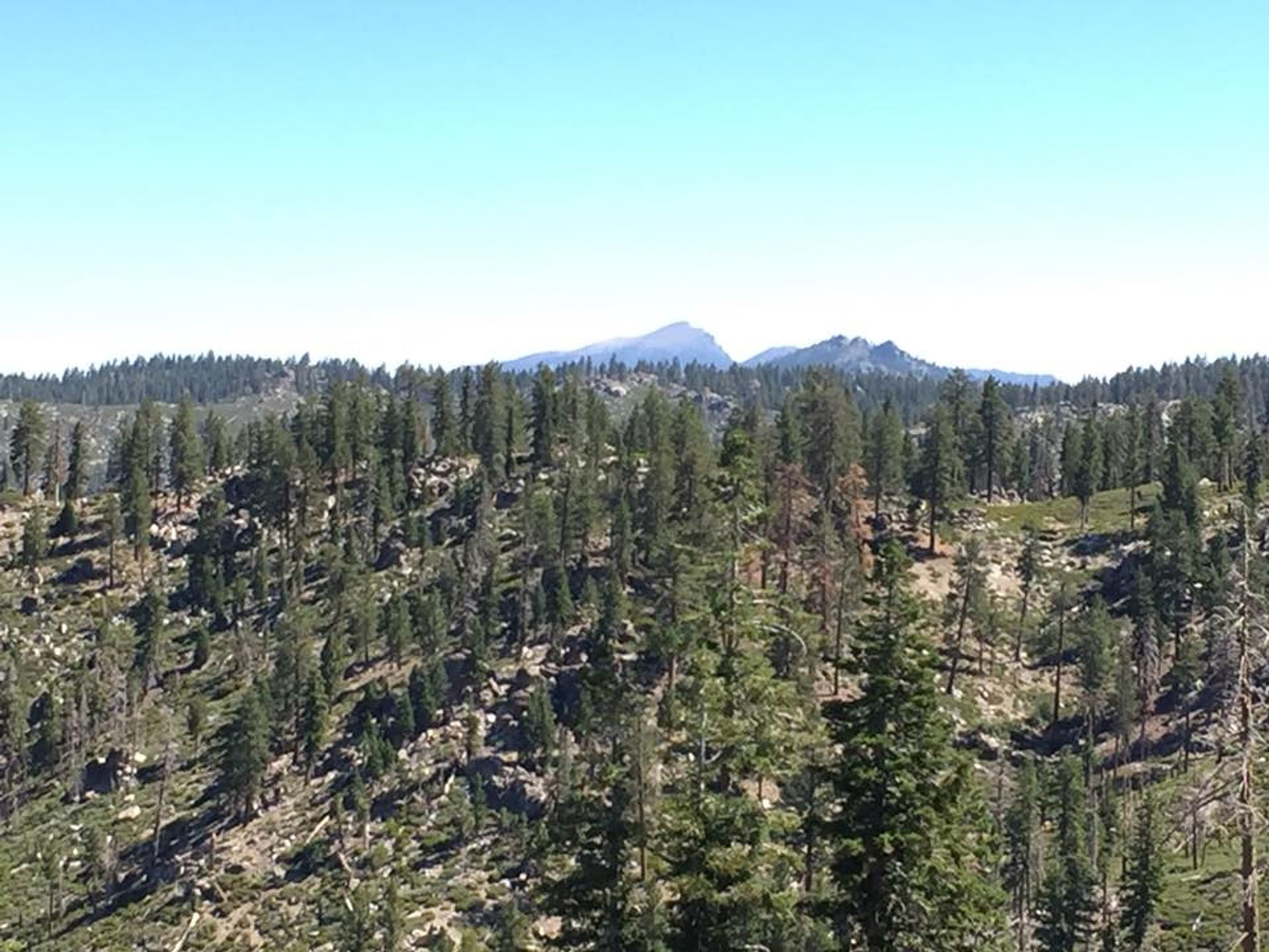 Scenic views. Photo by Troy Meadows, Sequoia NF.