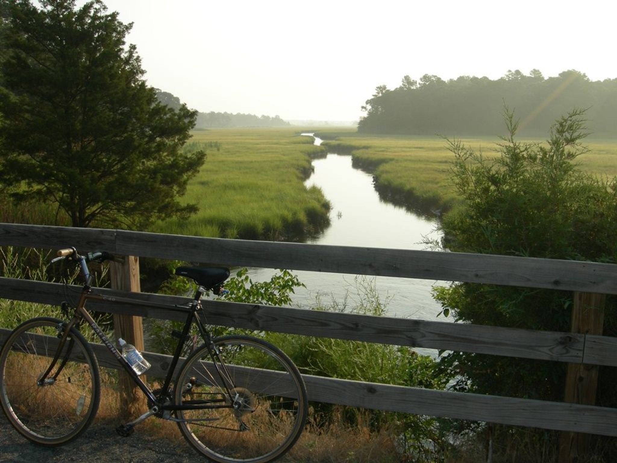 Scenic views from the Wolfe Glade Overlook on the Junction and Breakwater Trail. Photo by Avery Dunn.