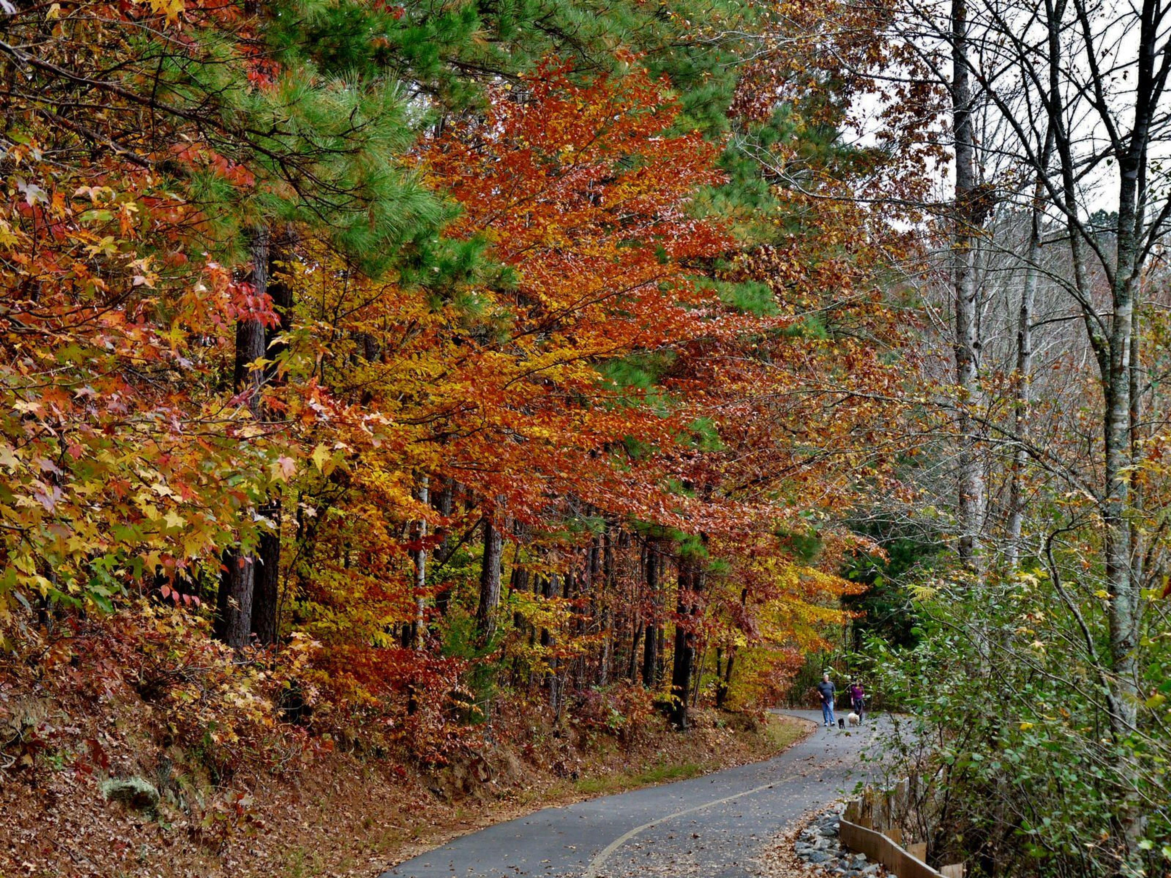 Trail at Mulberry Park. Photo by Patricia Mobley.