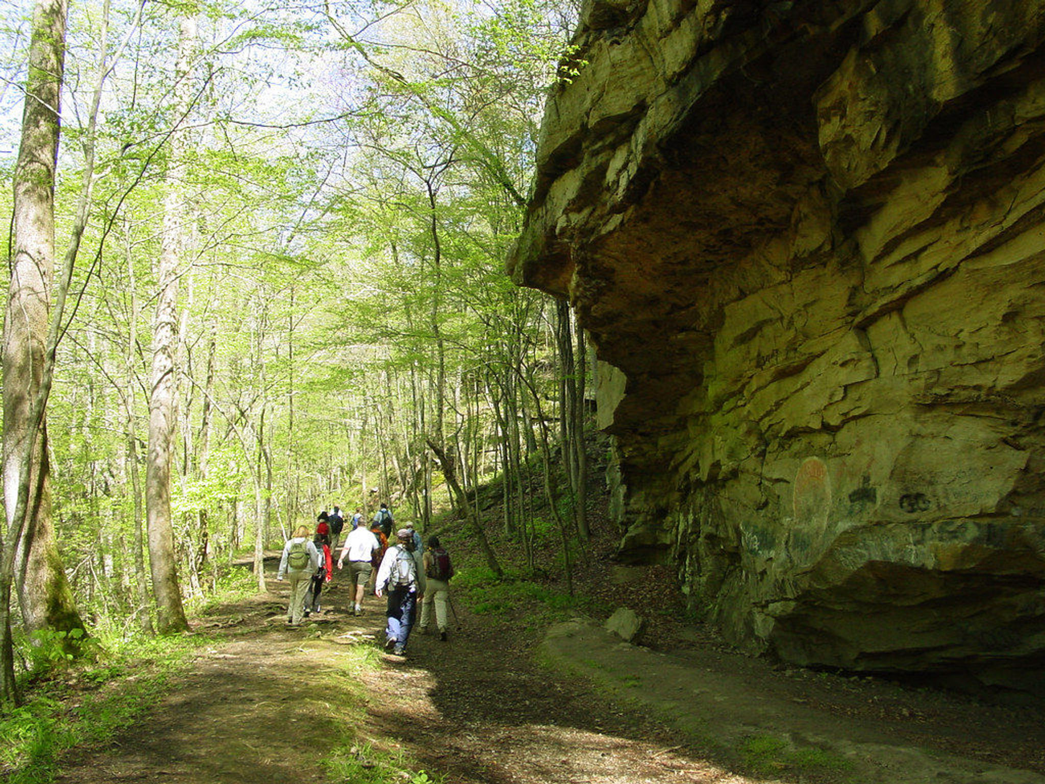 Club on a pocket hike on the Laurel-Snow Trail. Photo by Kelly Stewart.