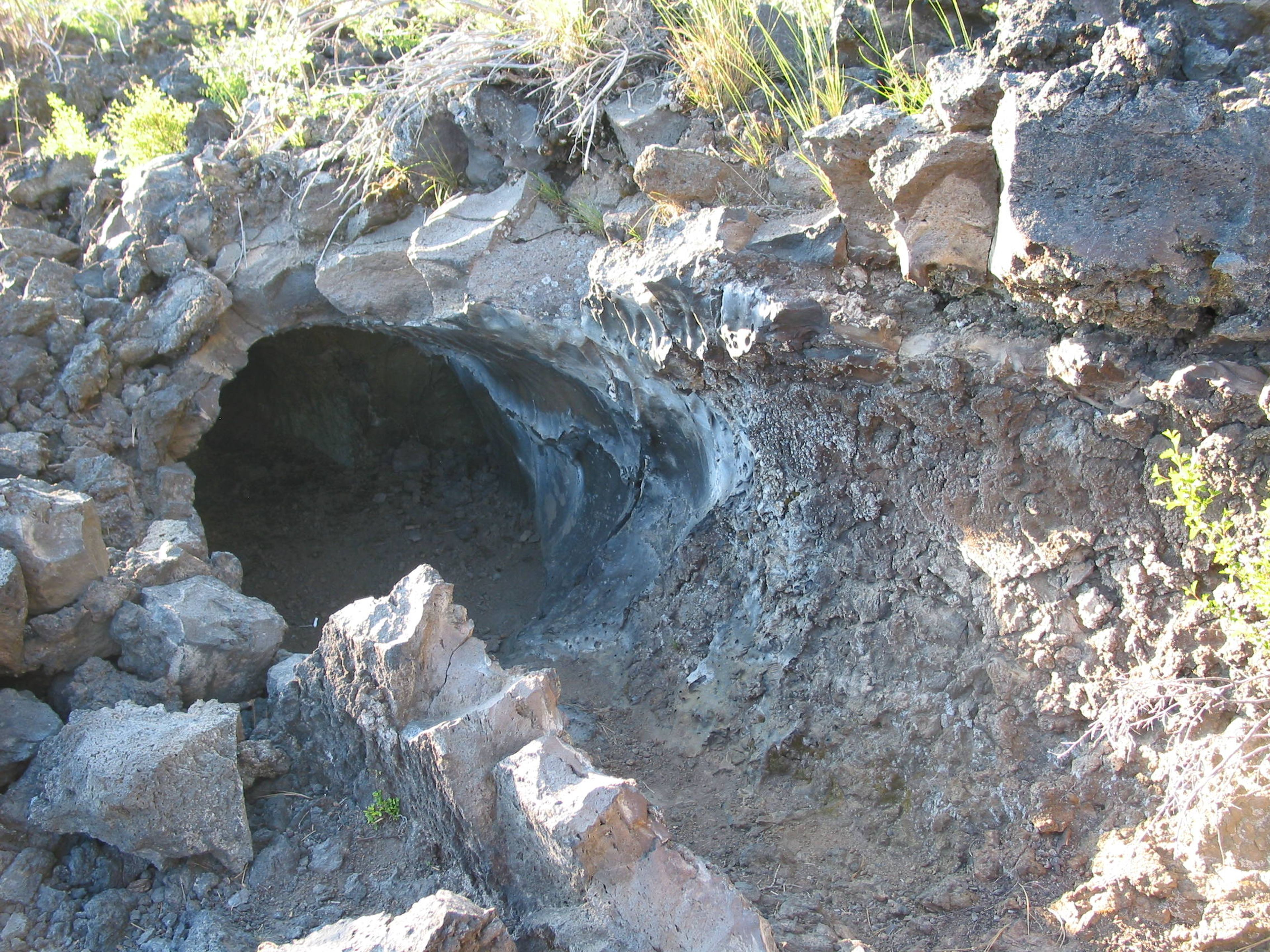 The Lava Cast Forest Trail is a paved, barrier-free interpretive trail. Photo by Linda Thomas and Lane Thomas.