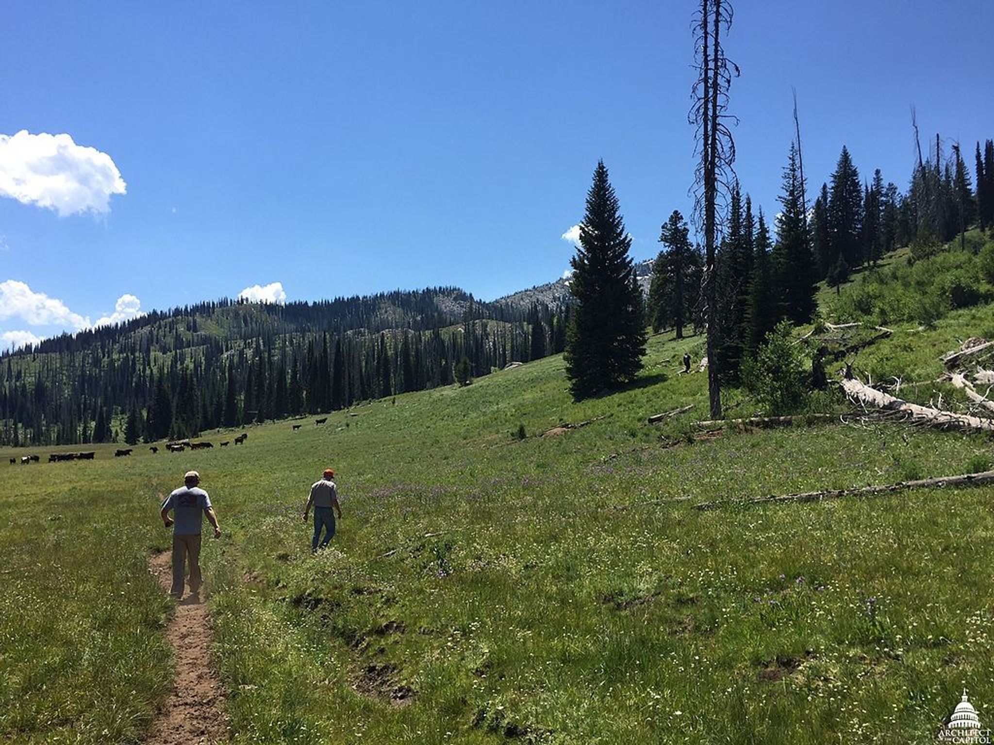 Payette National Forest in Idaho. Photo by USCapitol wiki.