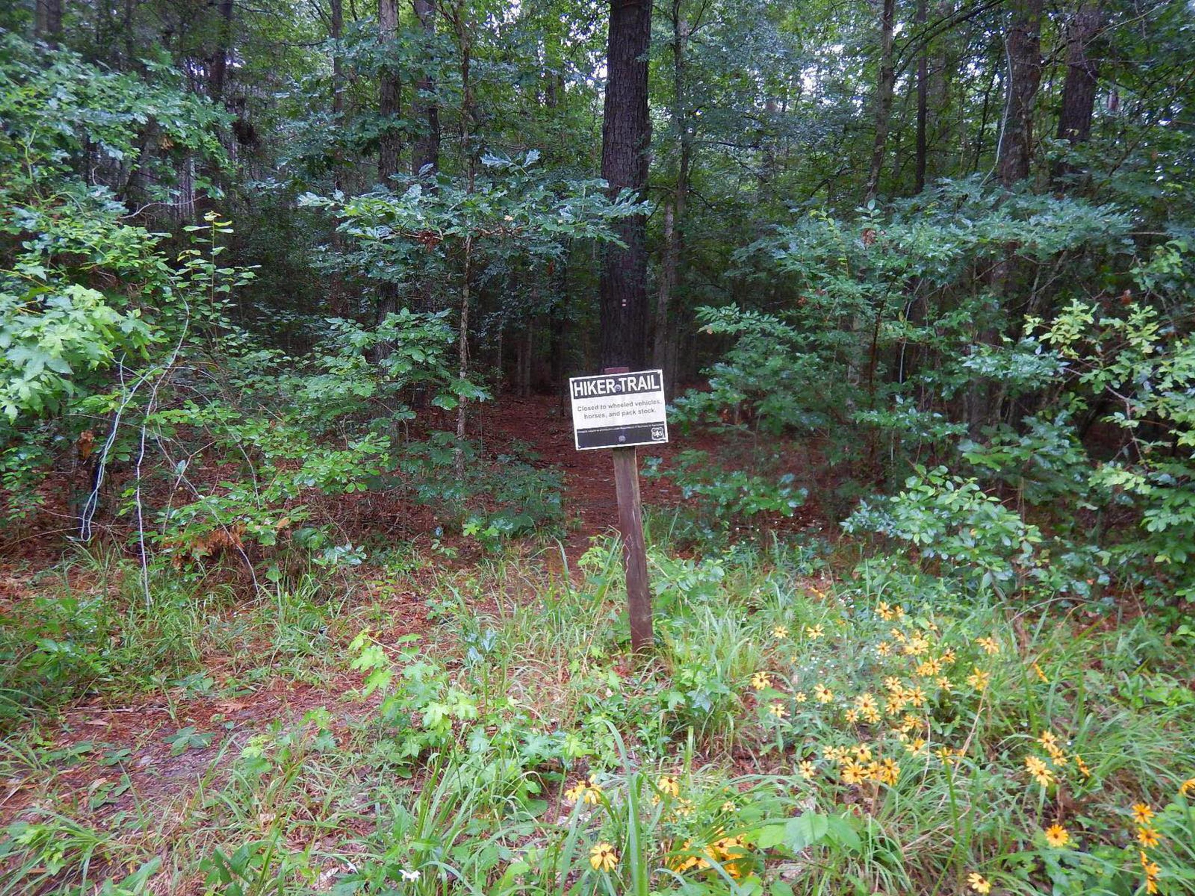 Trail entrance signage. Photo by Lone Star Trail Hiking Club.