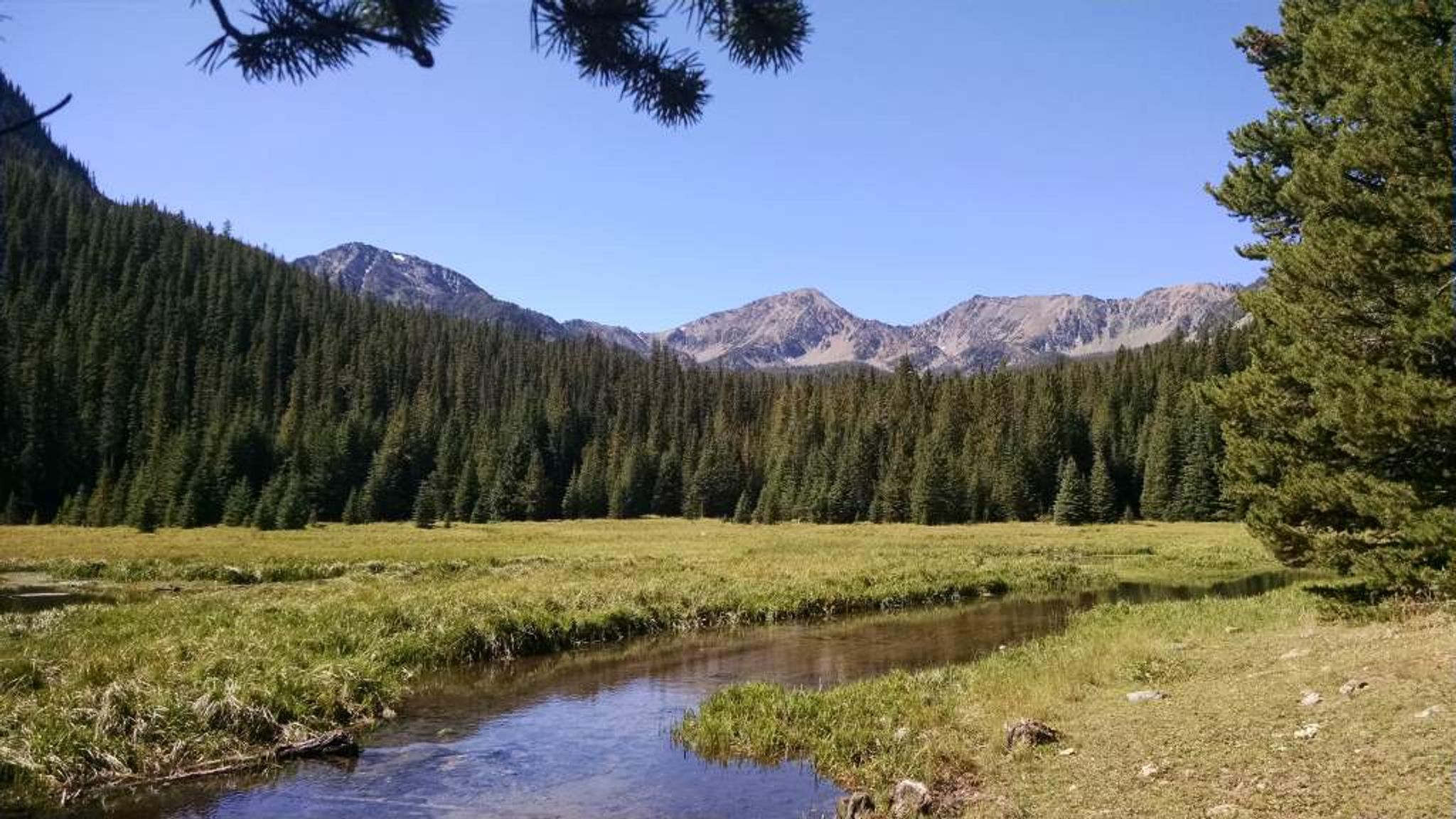 The trailhead starts at the Bismark Reservoir. Photo by USFS.