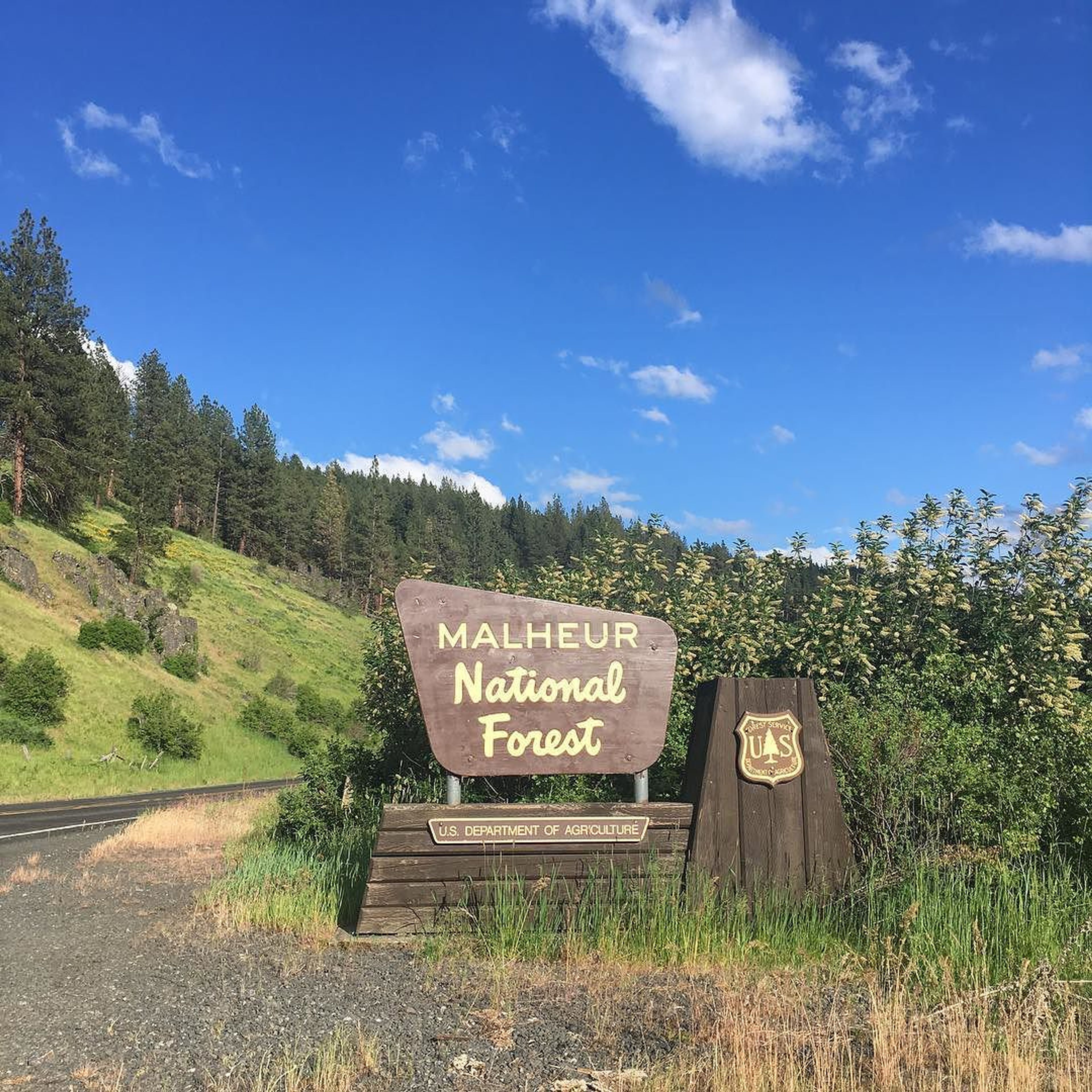 Malheur National Forest Entrance. Photo by Evan p. Cordes wiki.