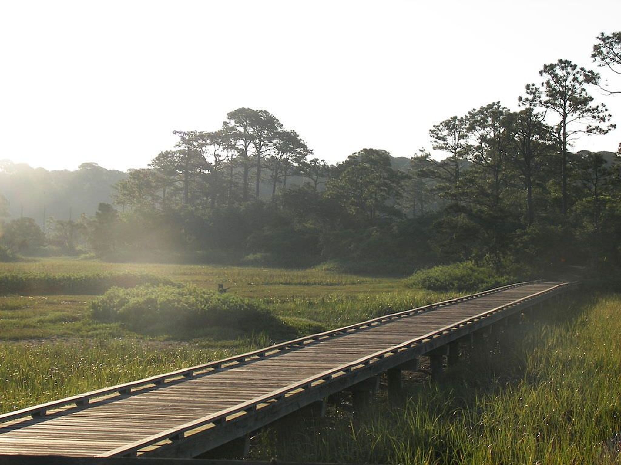 Marsh Boardwalk in Hunting Island State Park. Photo by Cdamgen wiki.