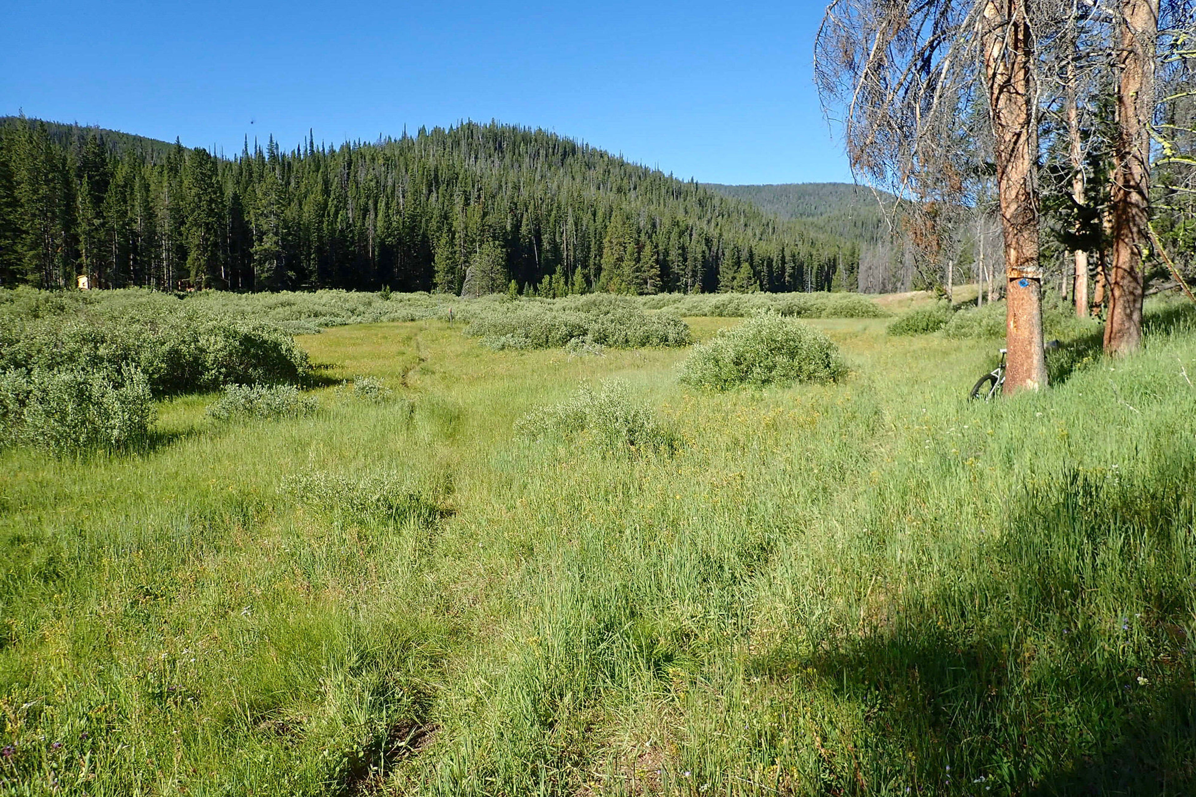 Junction of the short trail to May Creek Cabin and May Creek Trail. Photo by David Lingle.