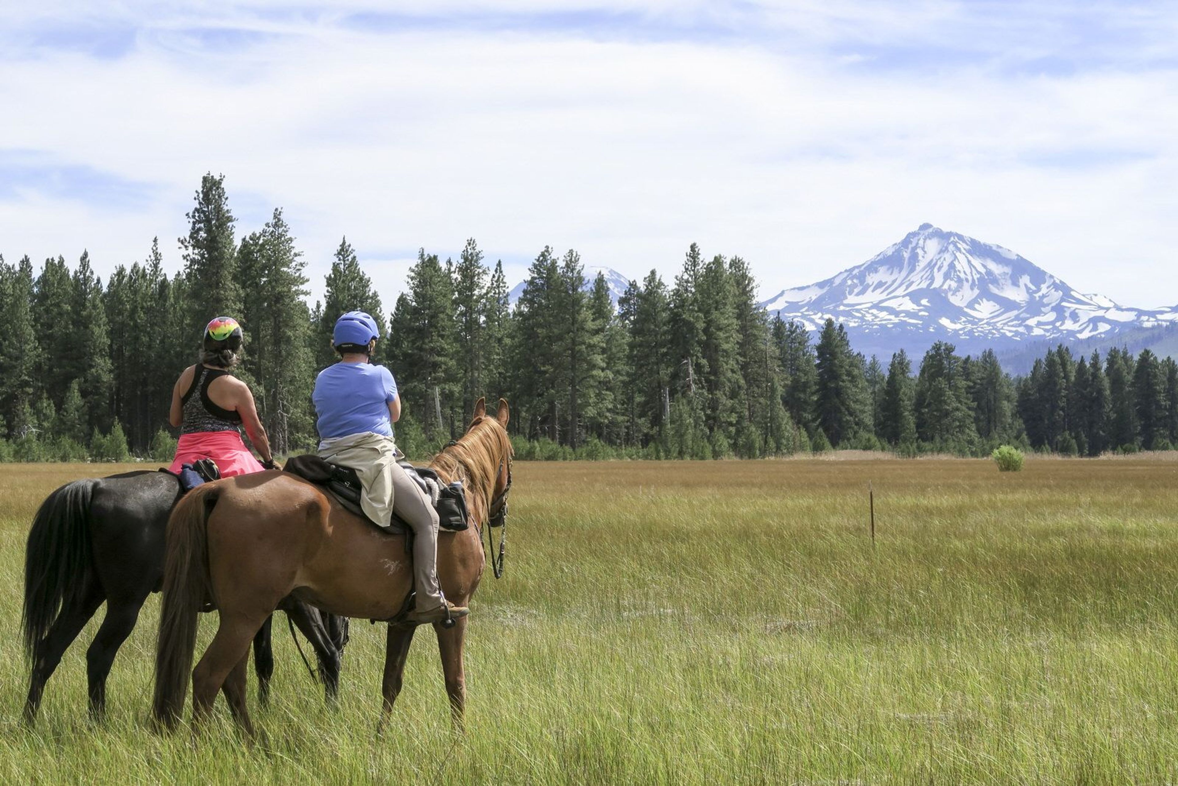 A view of South Sister from the Metolius-Windigo Trail. Photo by Kim McCarrel.