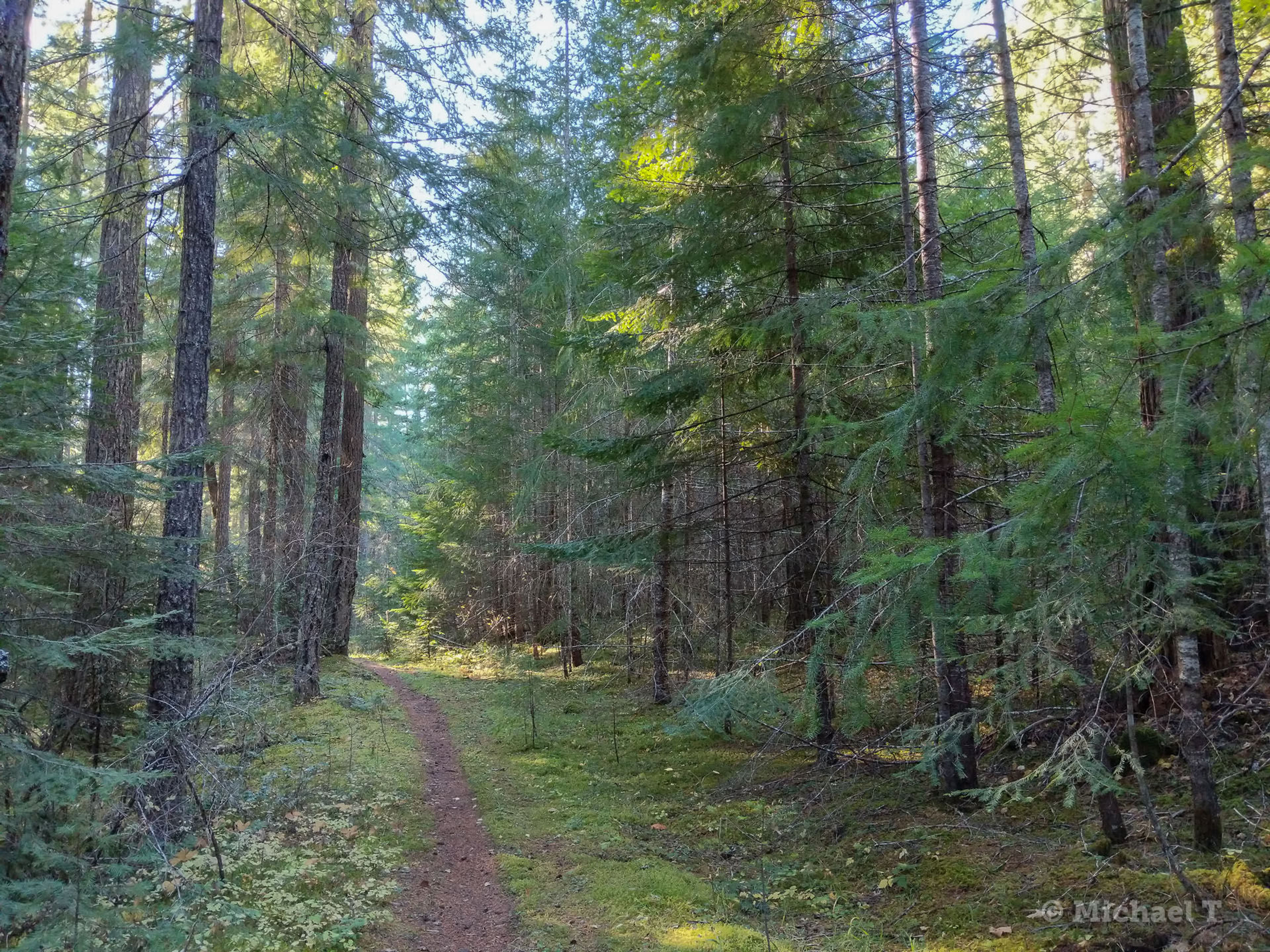 Middle Fork Trail