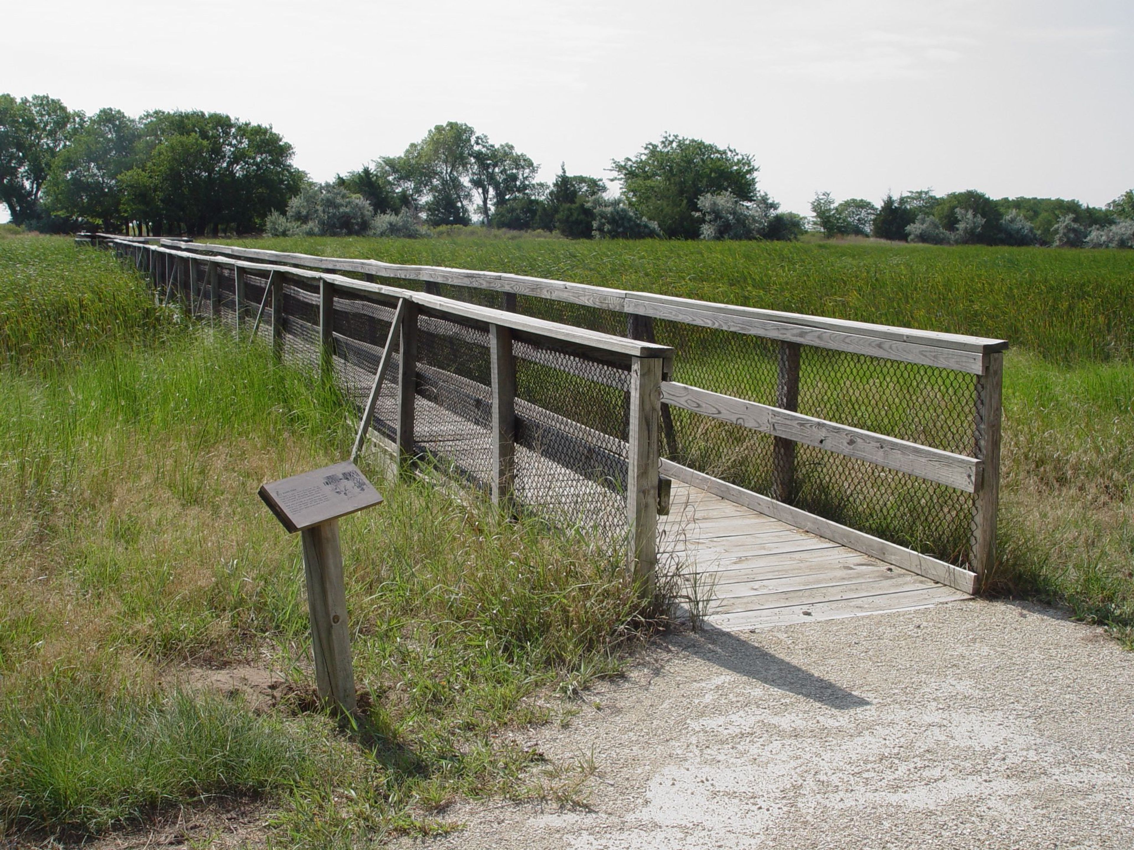 Boardwalk across freshwater marsh