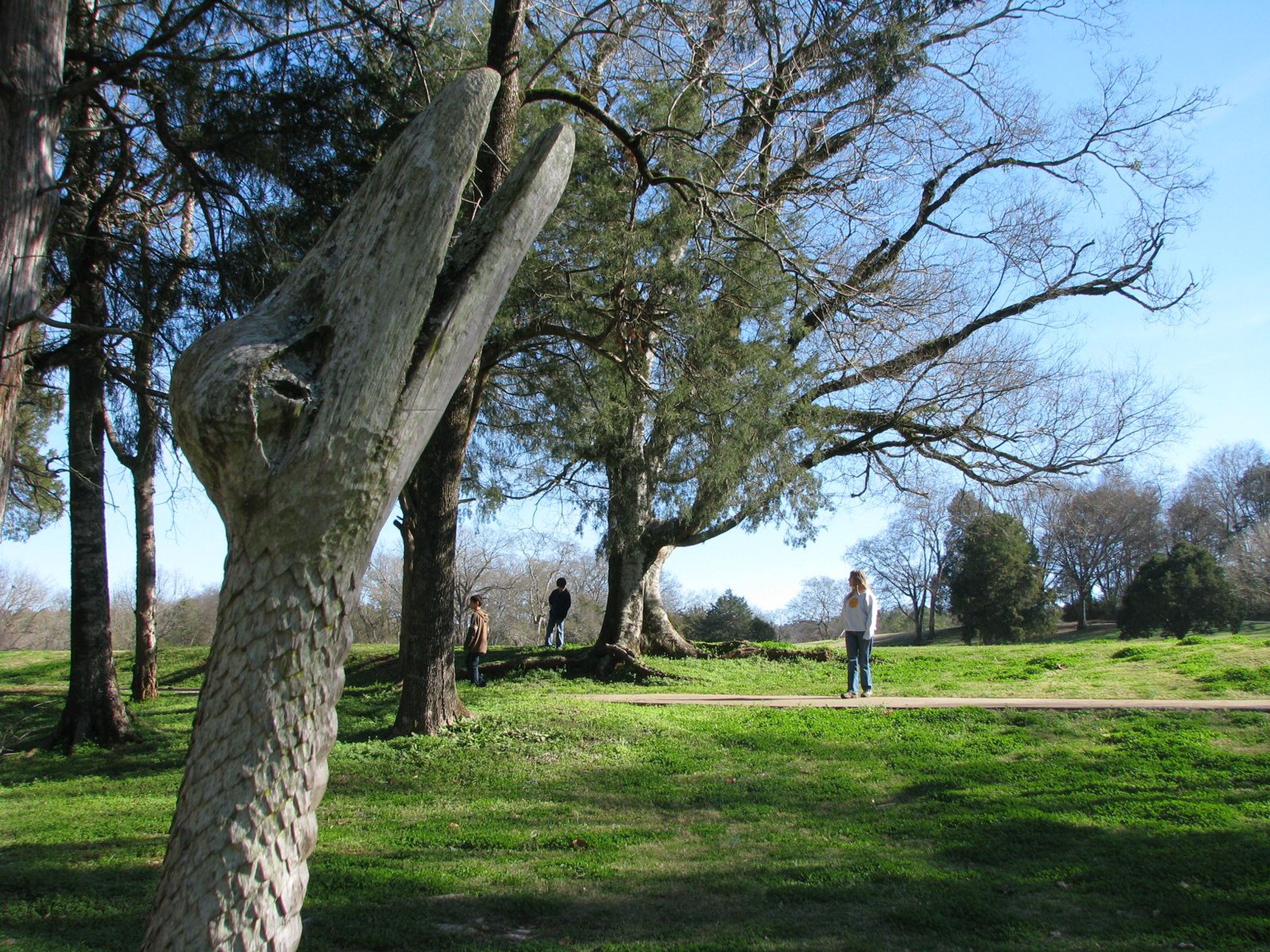 Snakehead wood sculpture by Tim Tingle. Photo by Andrew Cost.