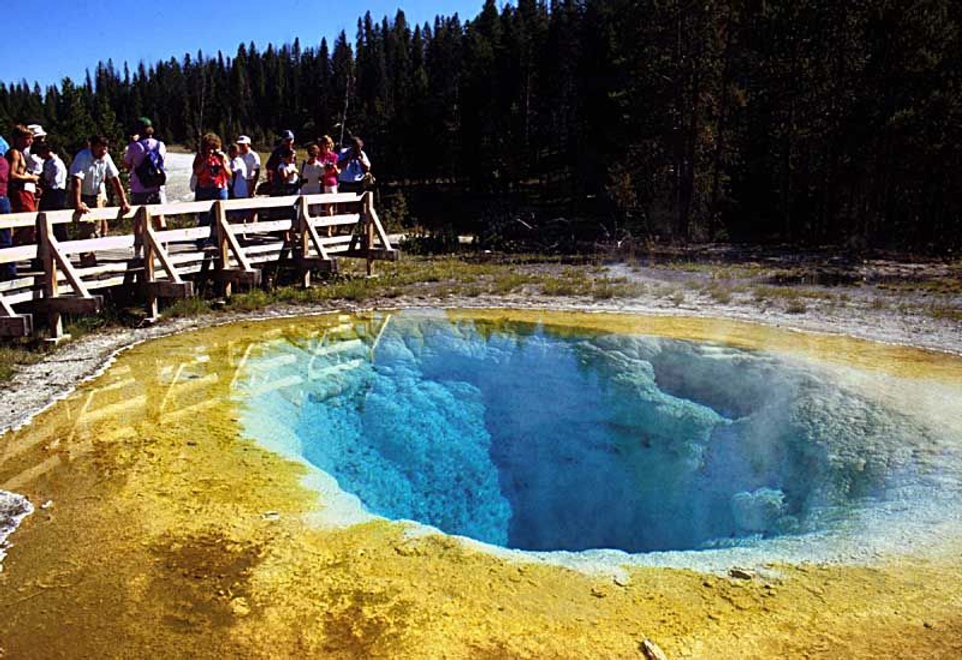 Morning Glory Pool. Photo by NPS.