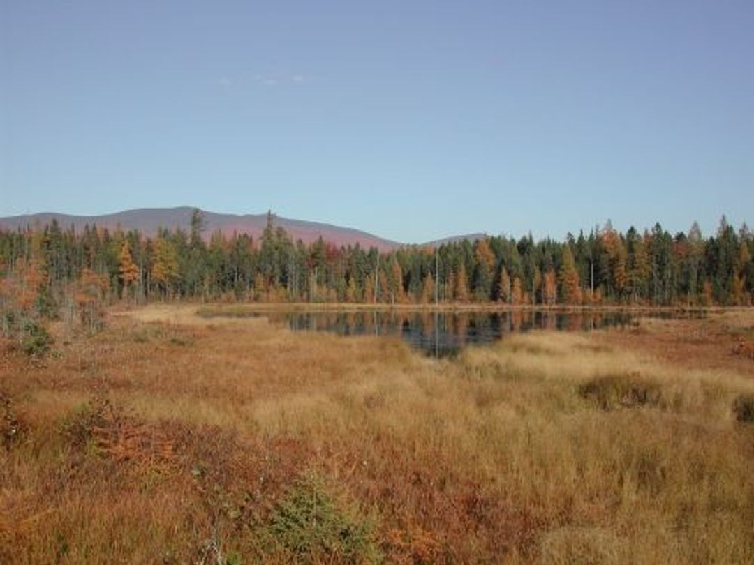 Mud Pond in Autumn