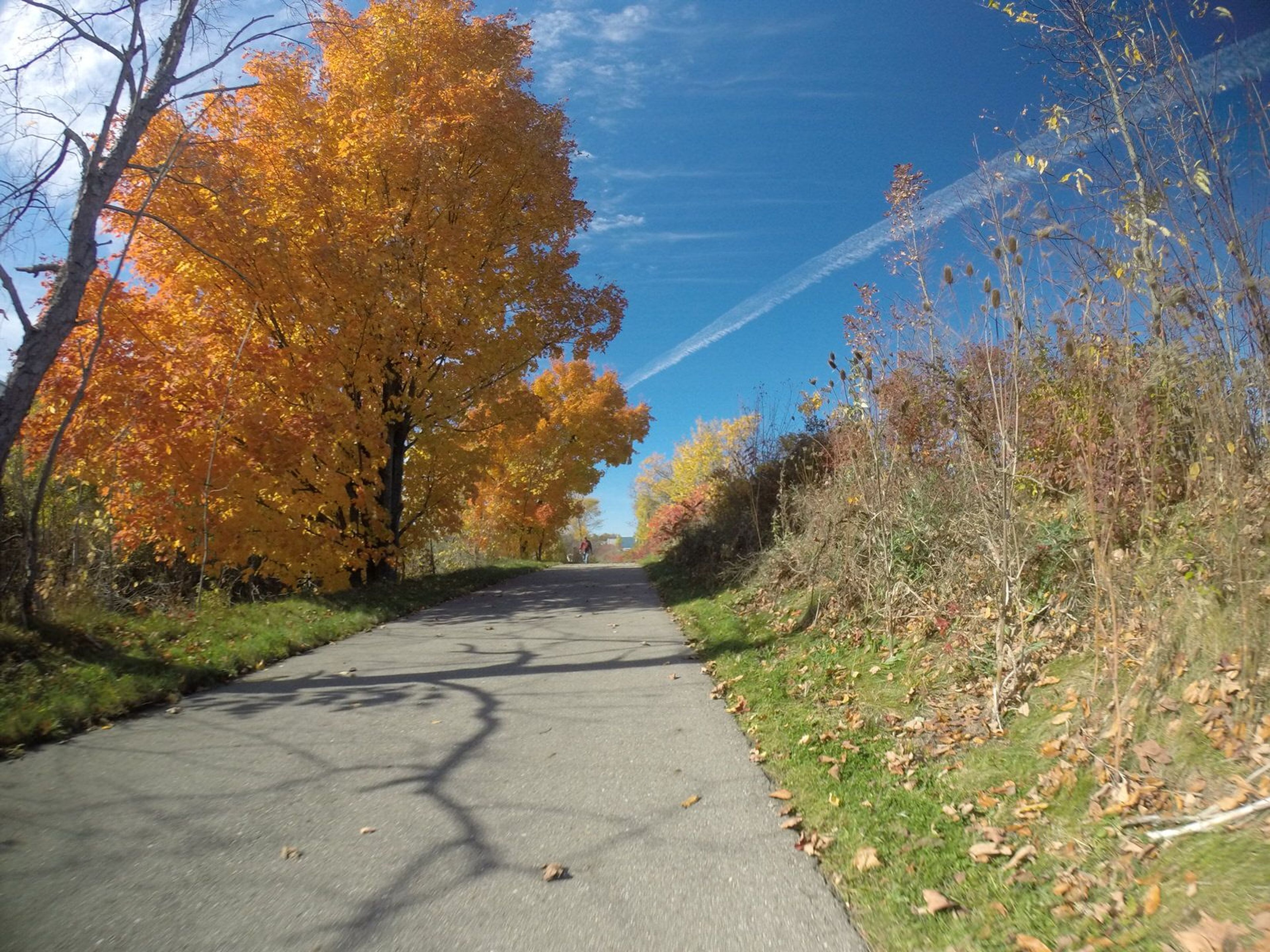 Colorful Autumn Day on the Trail. Photo by Jim Allan.