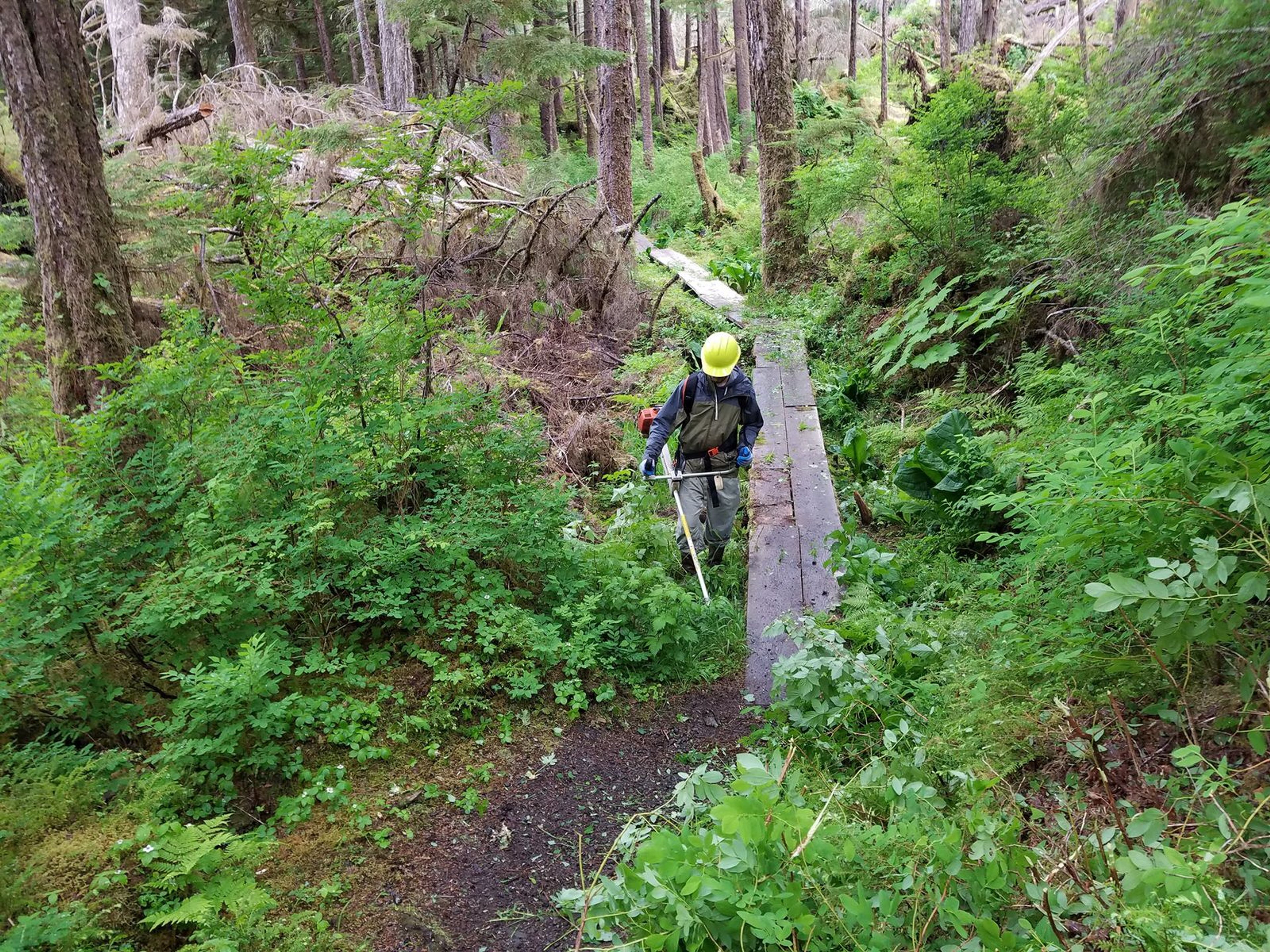 An all-hands field day to perform maintenance on a section of the Naha River Trail. Photo by USFS.