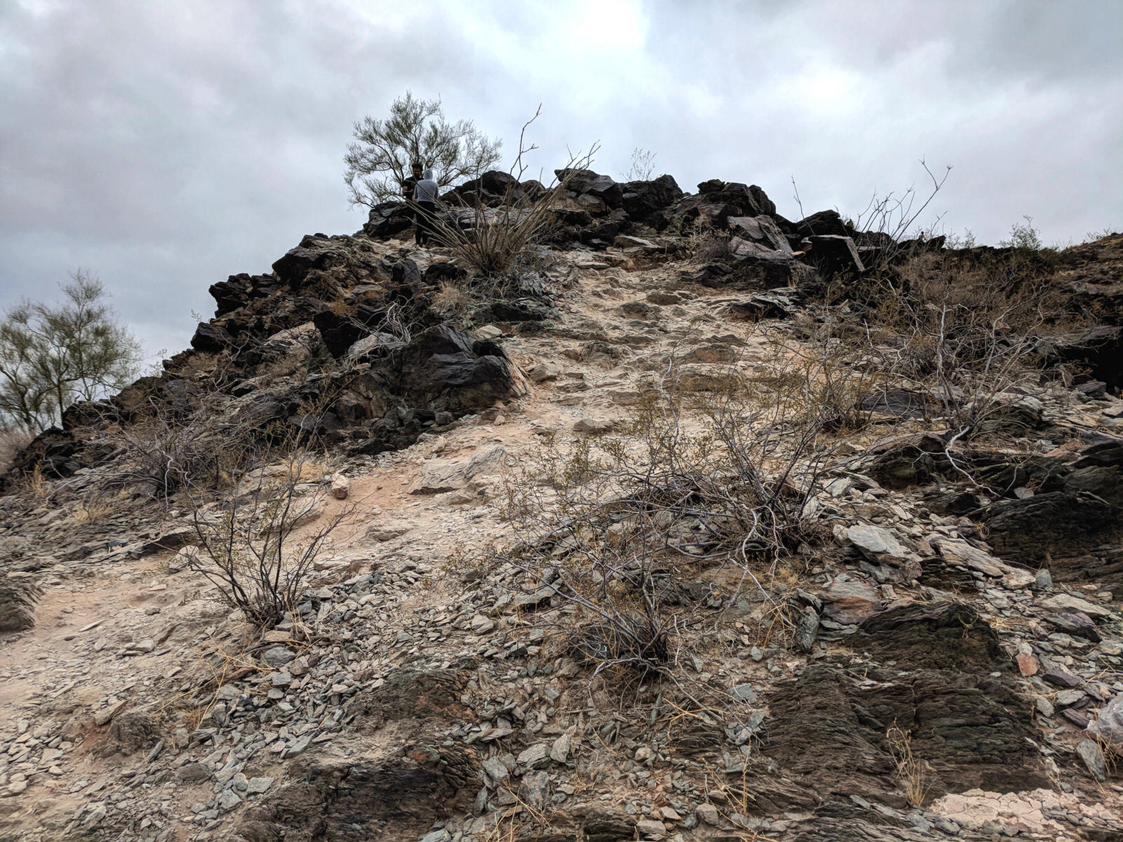 North Mountain - typical section of trail. Photo by Jim Walla.