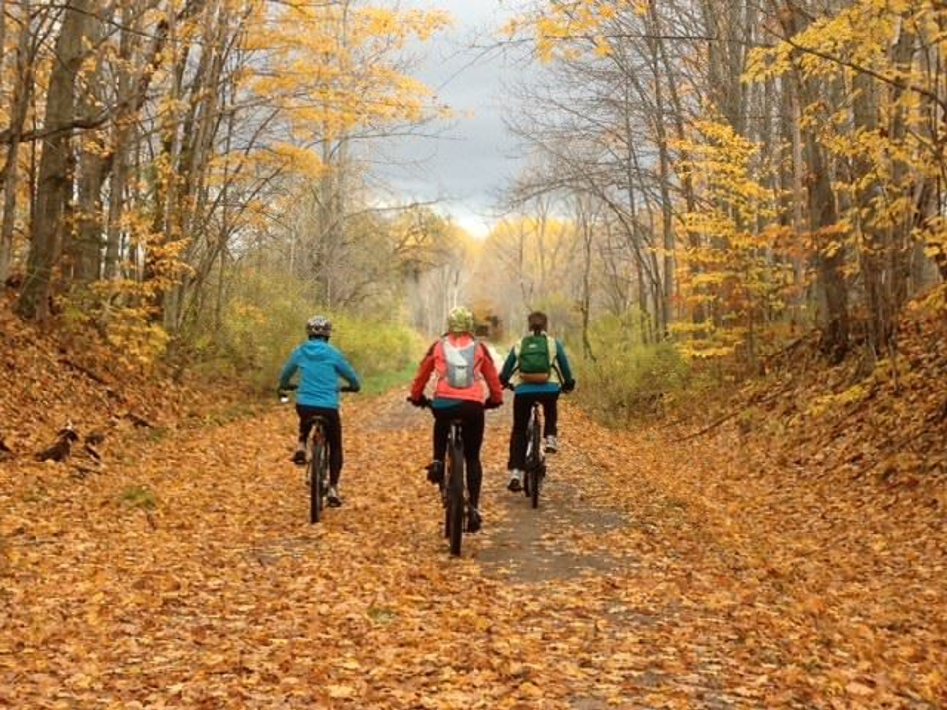 Fall Color on the North Western State Trail