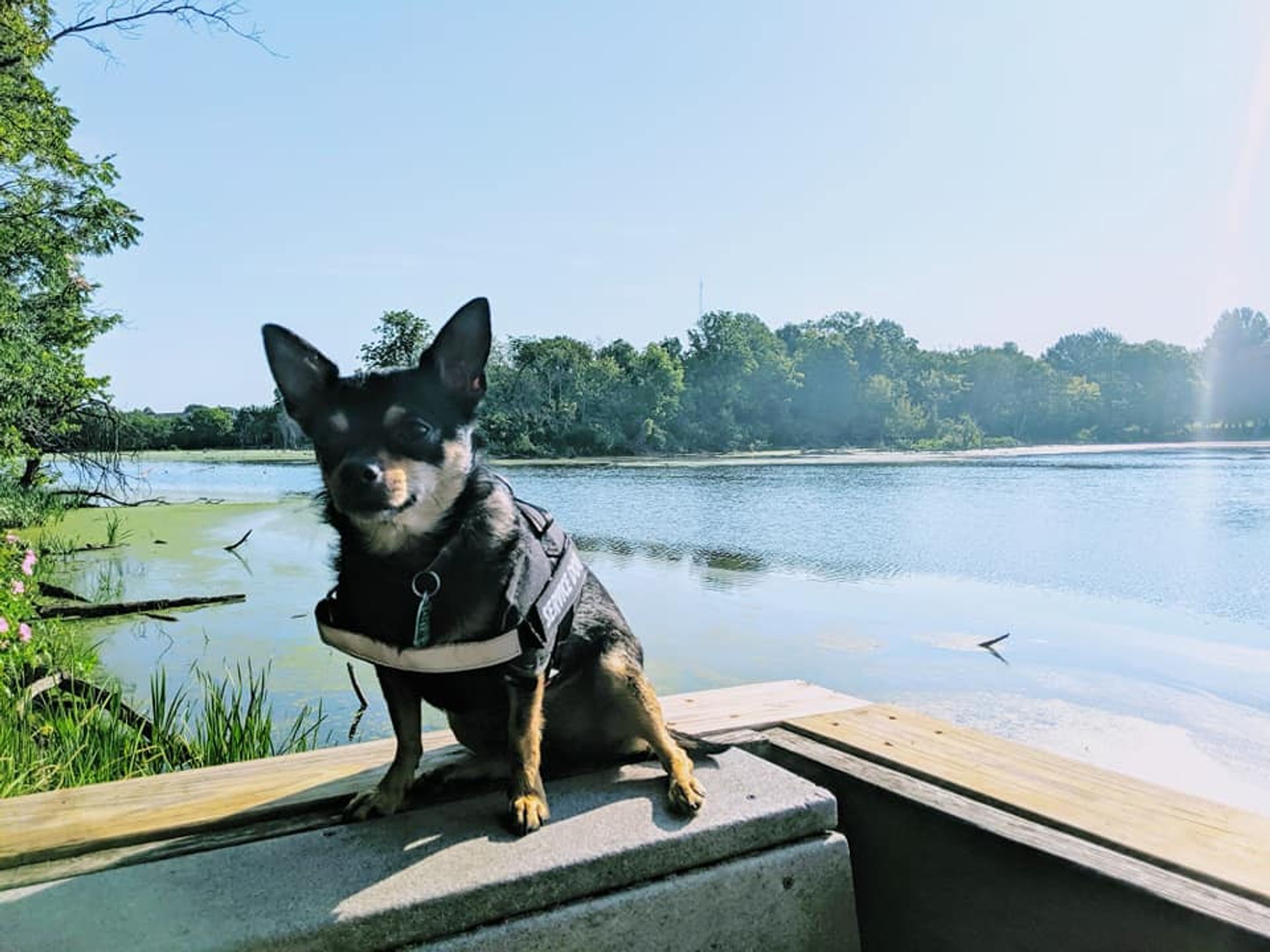 Barron enjoying a day at the nature area. Photo by Travis Bakeman.