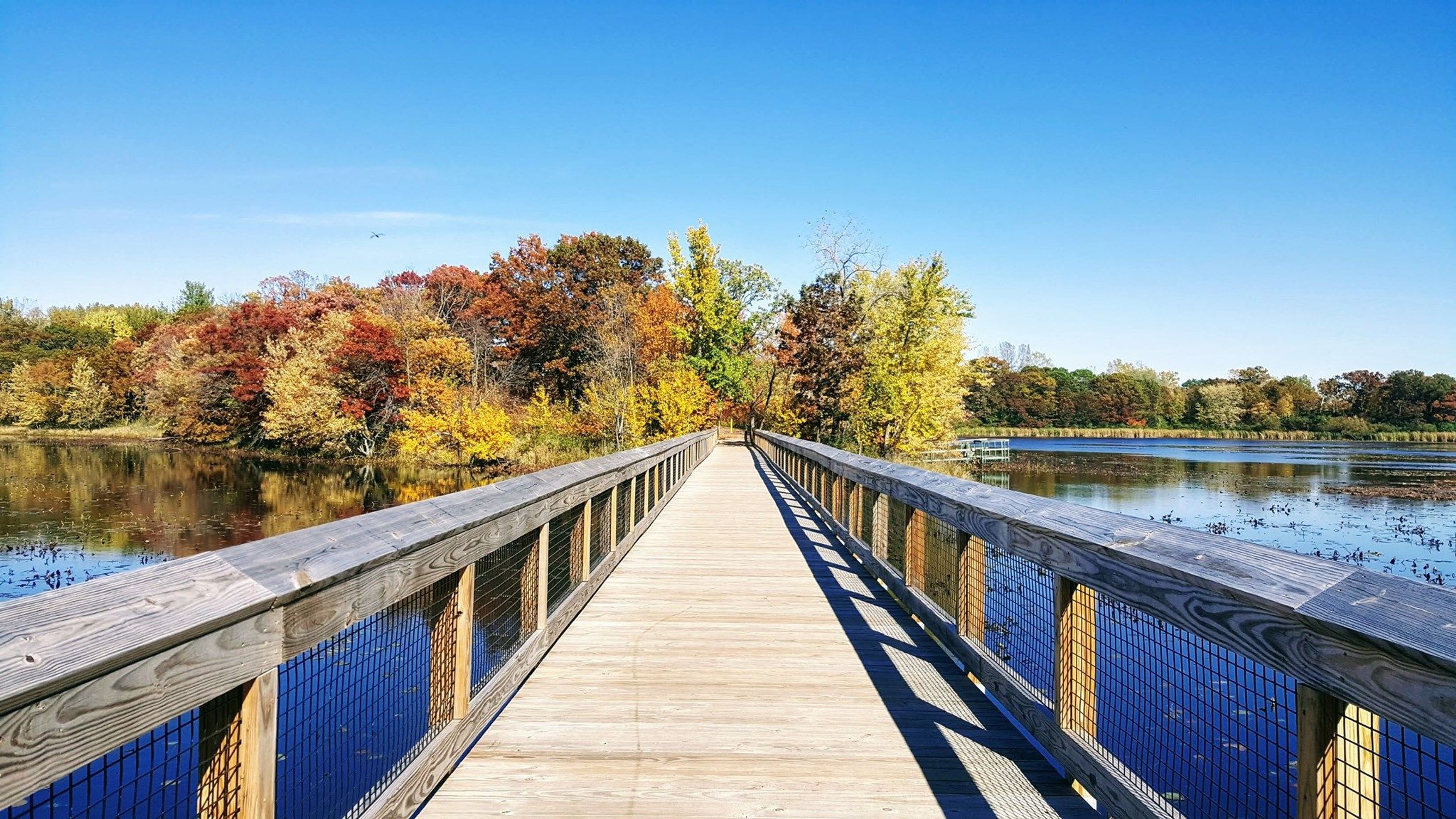 Oakdale Park boardwalk. Photo by City of Oakdale.