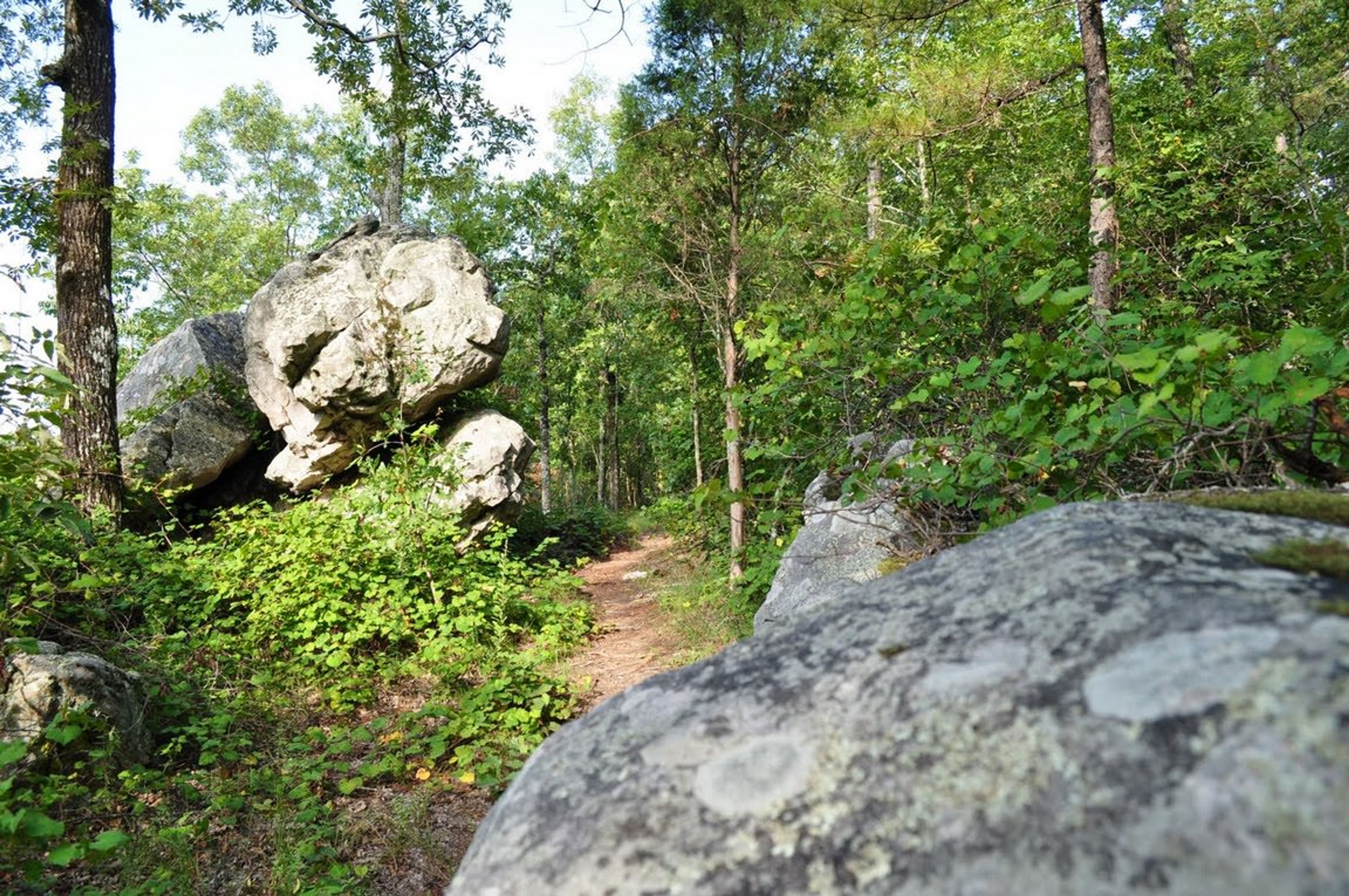 West Ridge Trail