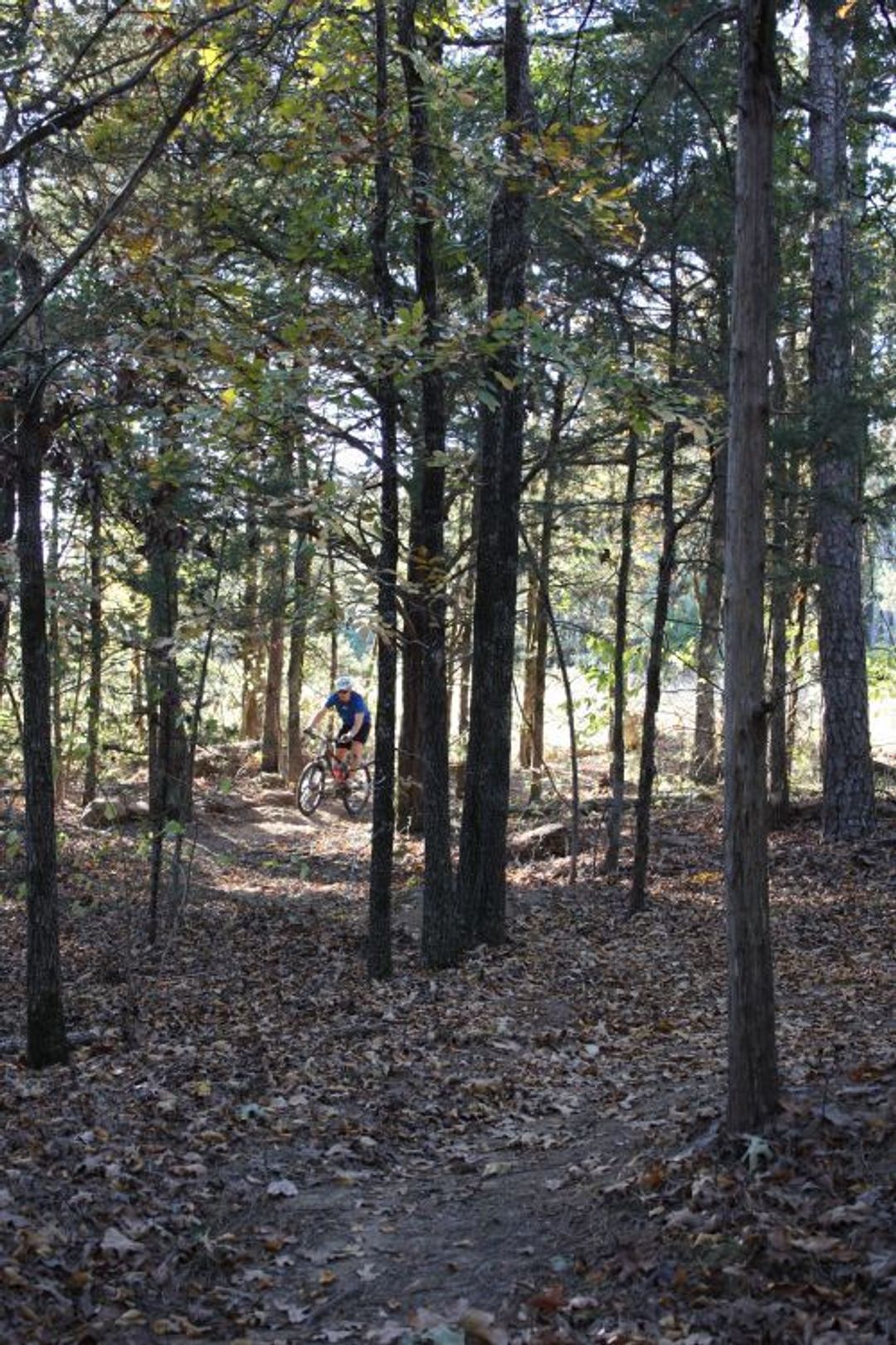 Mountain Biking