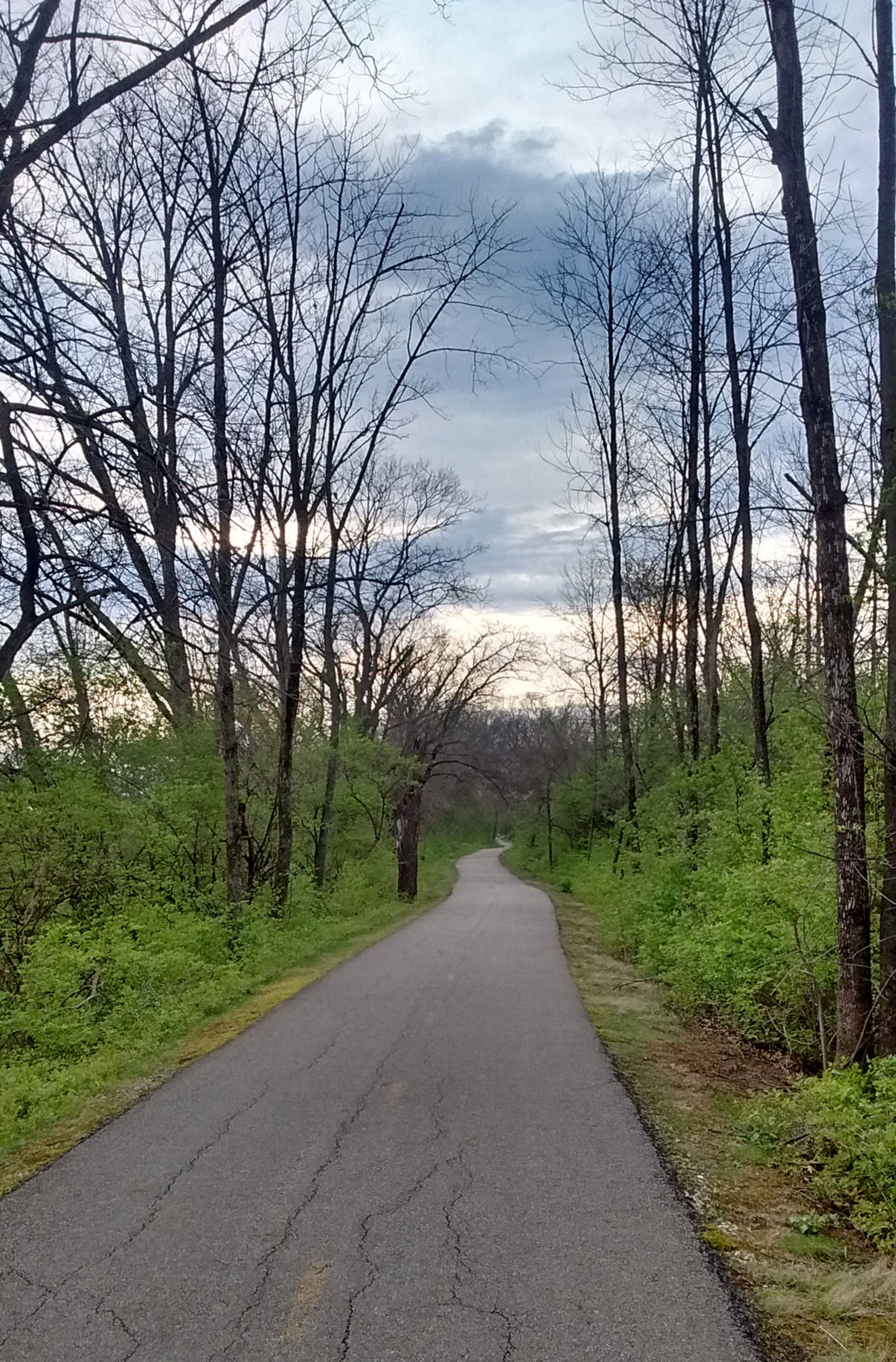 Greenway Trail. Photo by Vejlenser.