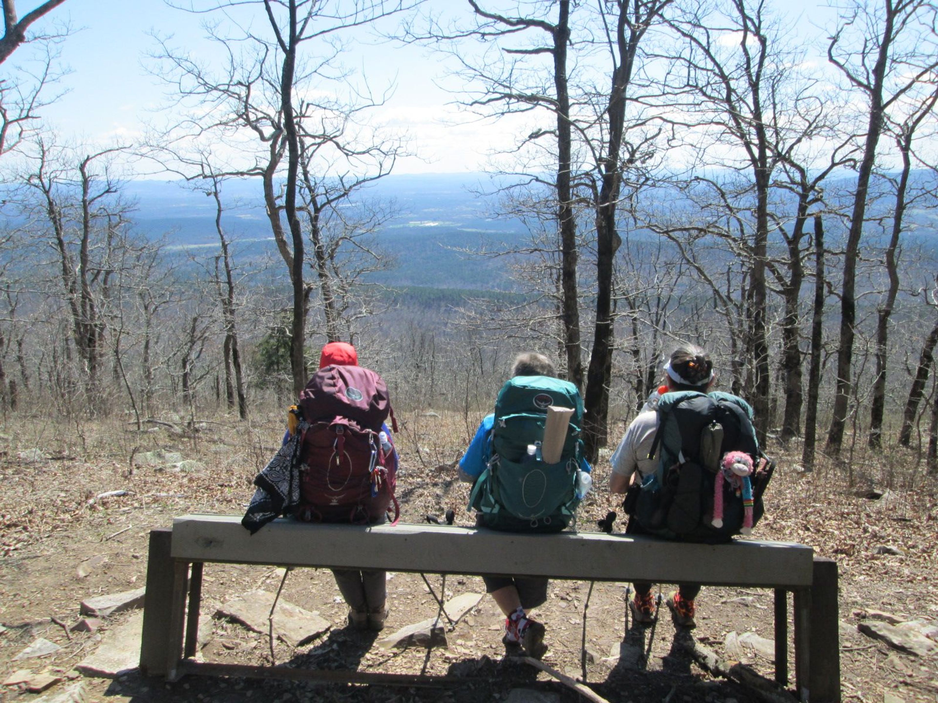 Foray, Trooper, and Flame enjoying view just west of Ok./Ark. State Line. Photo by Erma Humphries.