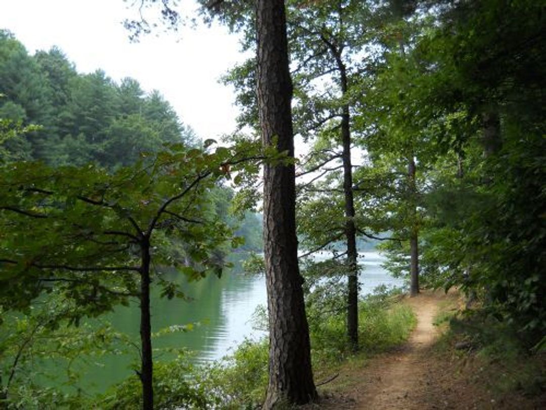 Trail meandors along the shore of W. Kerr Scott Reservoir