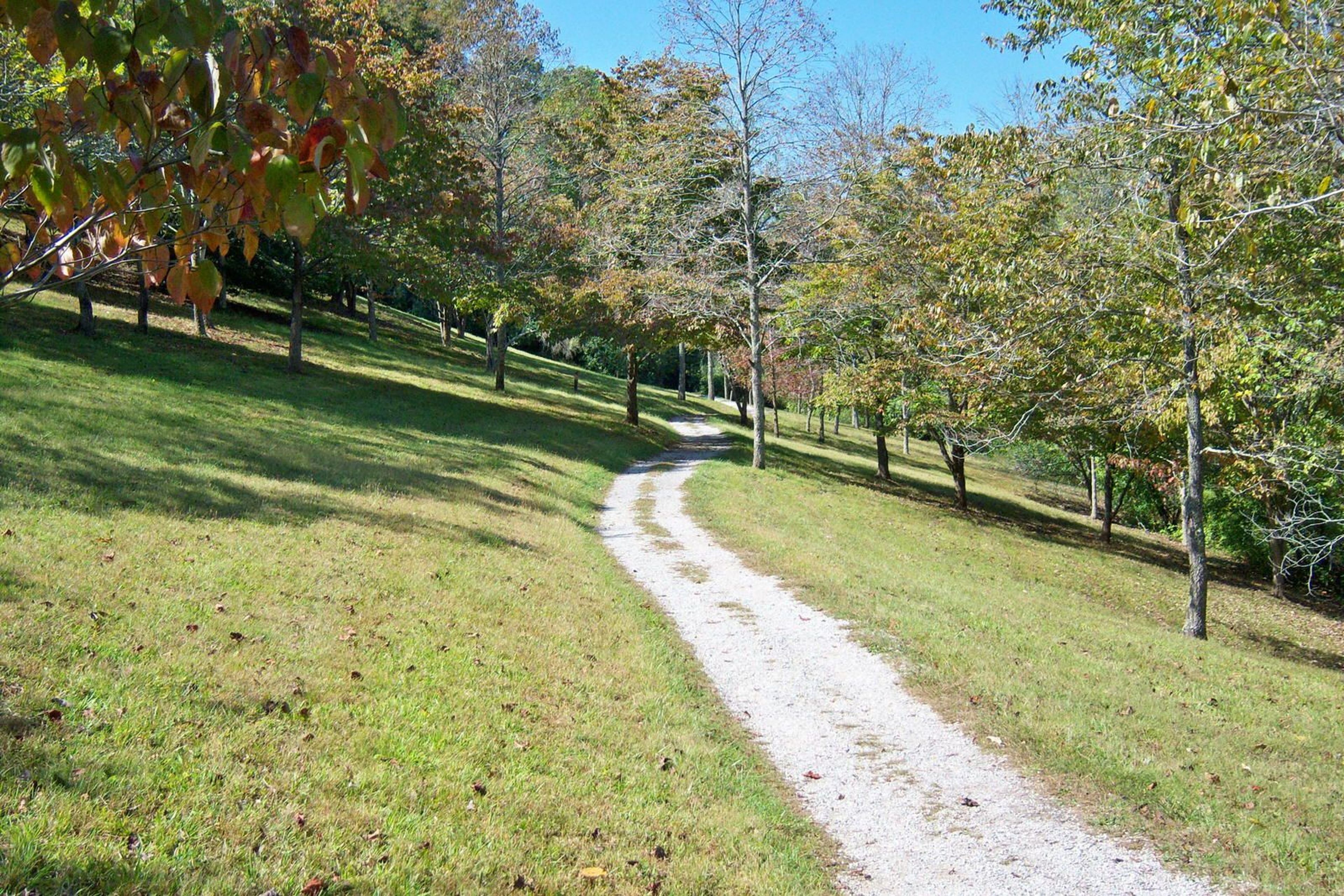 Part of the Paintsville Lake Kiwanis Trail in Staffordsville, Kentucky. Photo by Wikicommons.