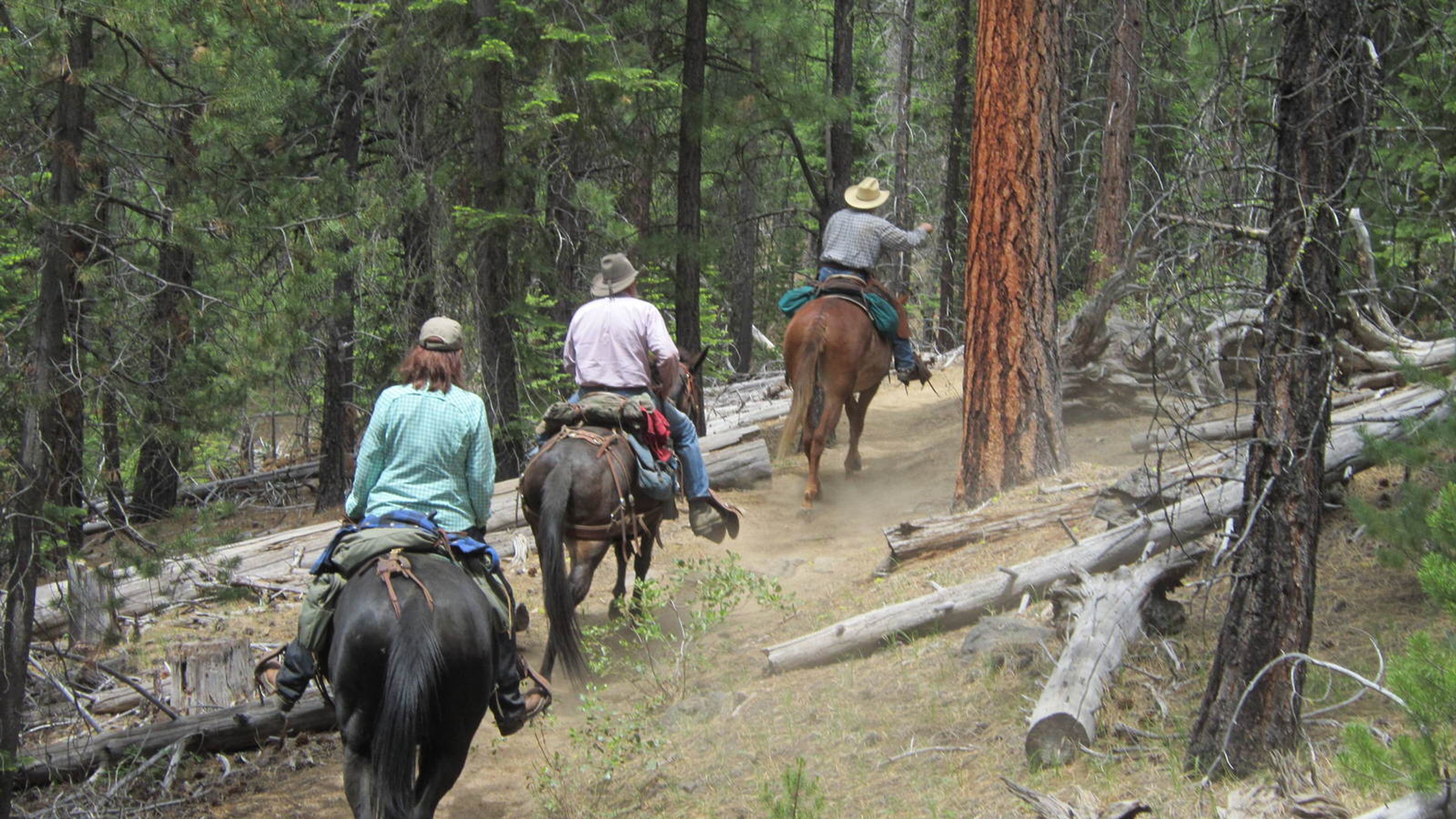 Day Ride. Photo by Linda Thomas and Lane Thomas.