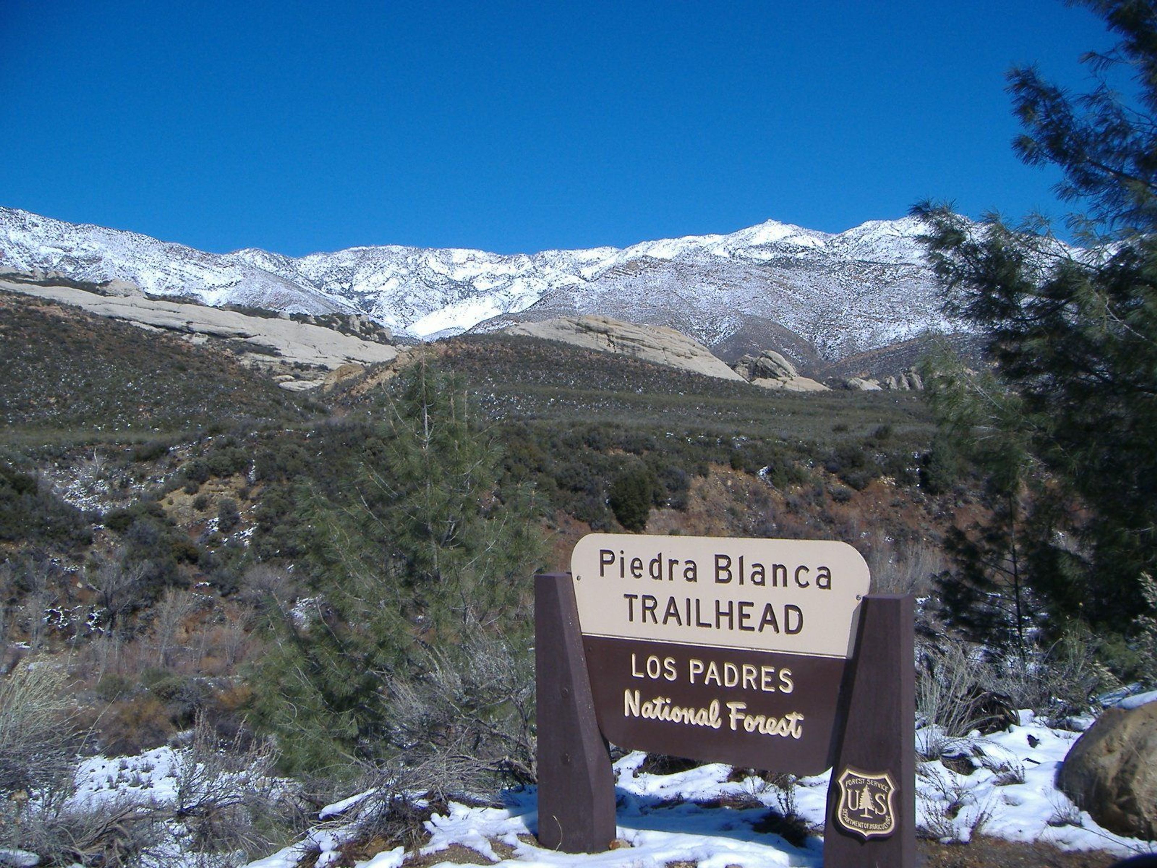 Los Padres National Forest.