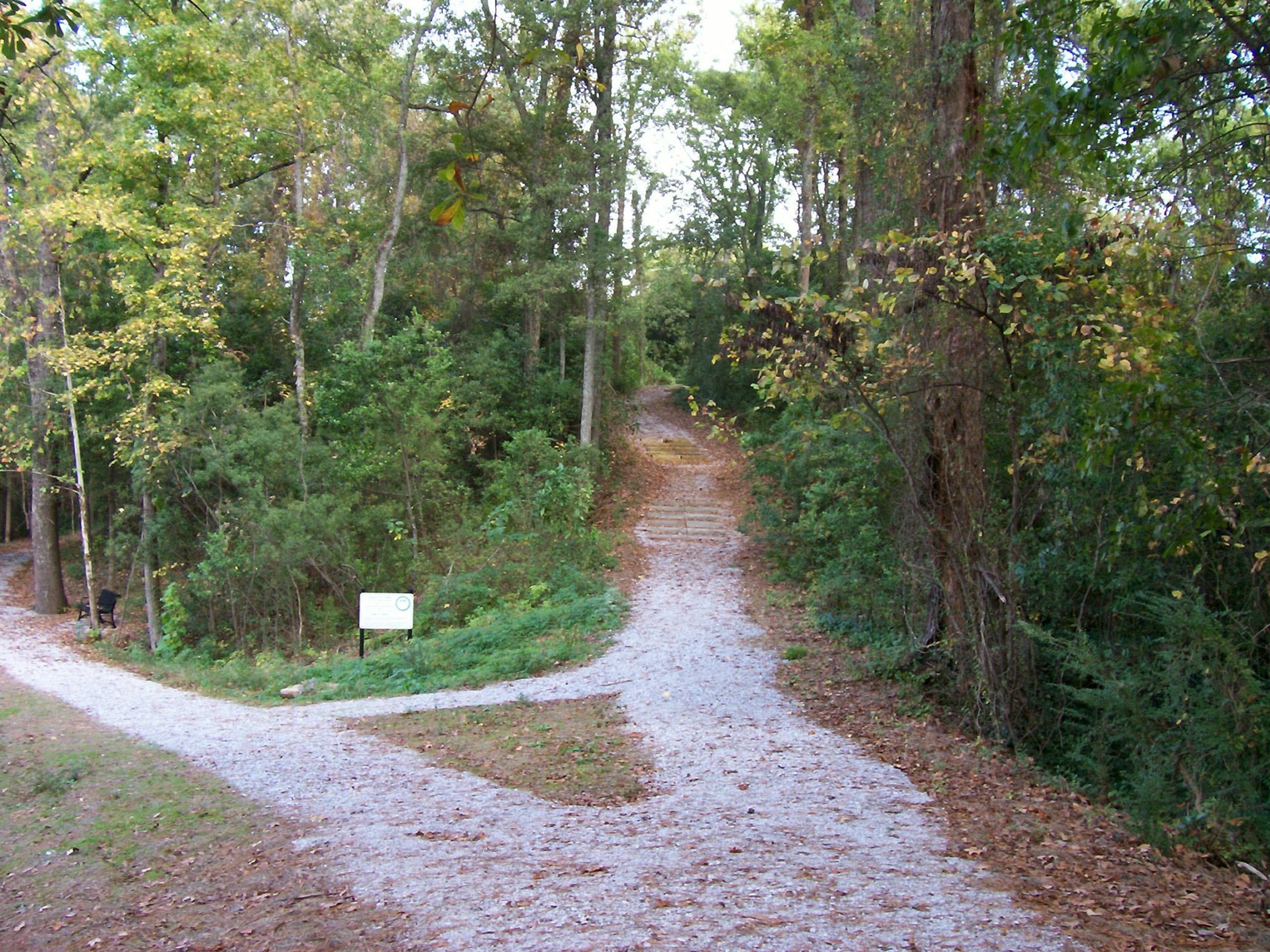 Photo by Tuscaloosa County Park and Rec.