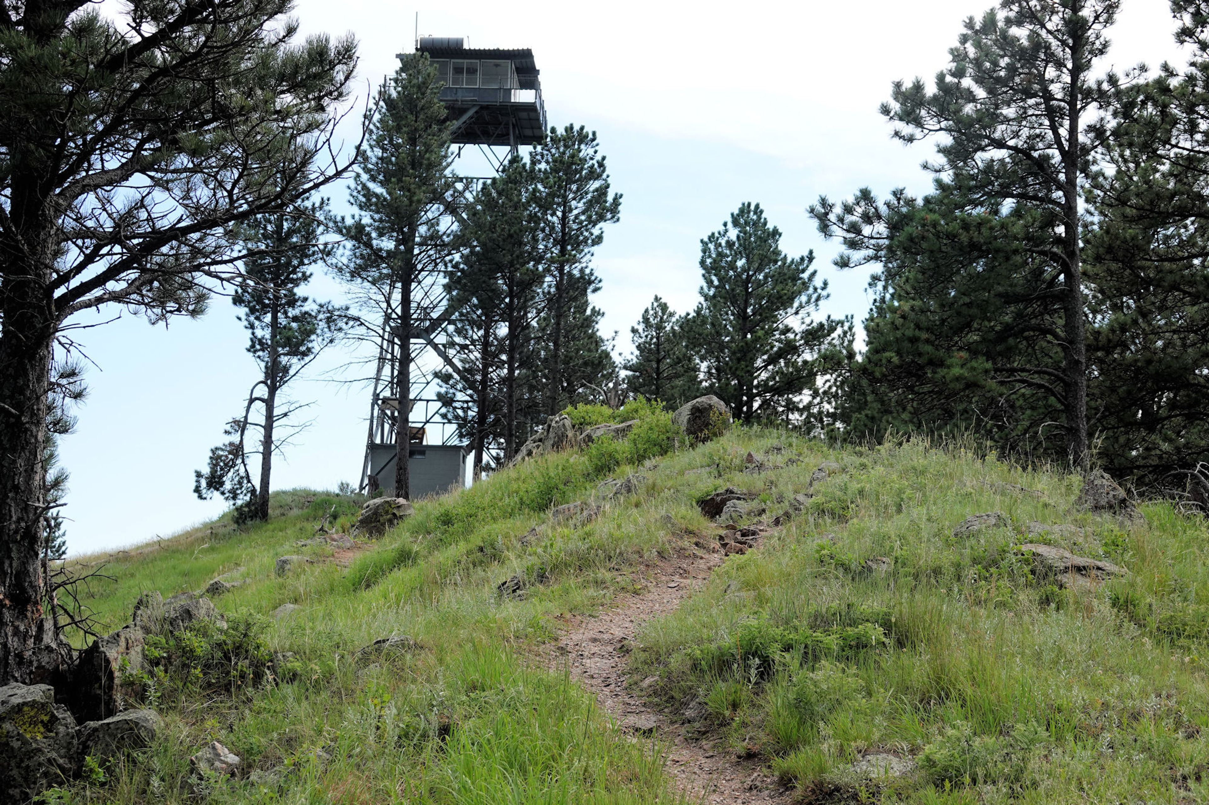 Rankin Ridge - Fire tower - 7-16-18. Photo by Jim Walla.