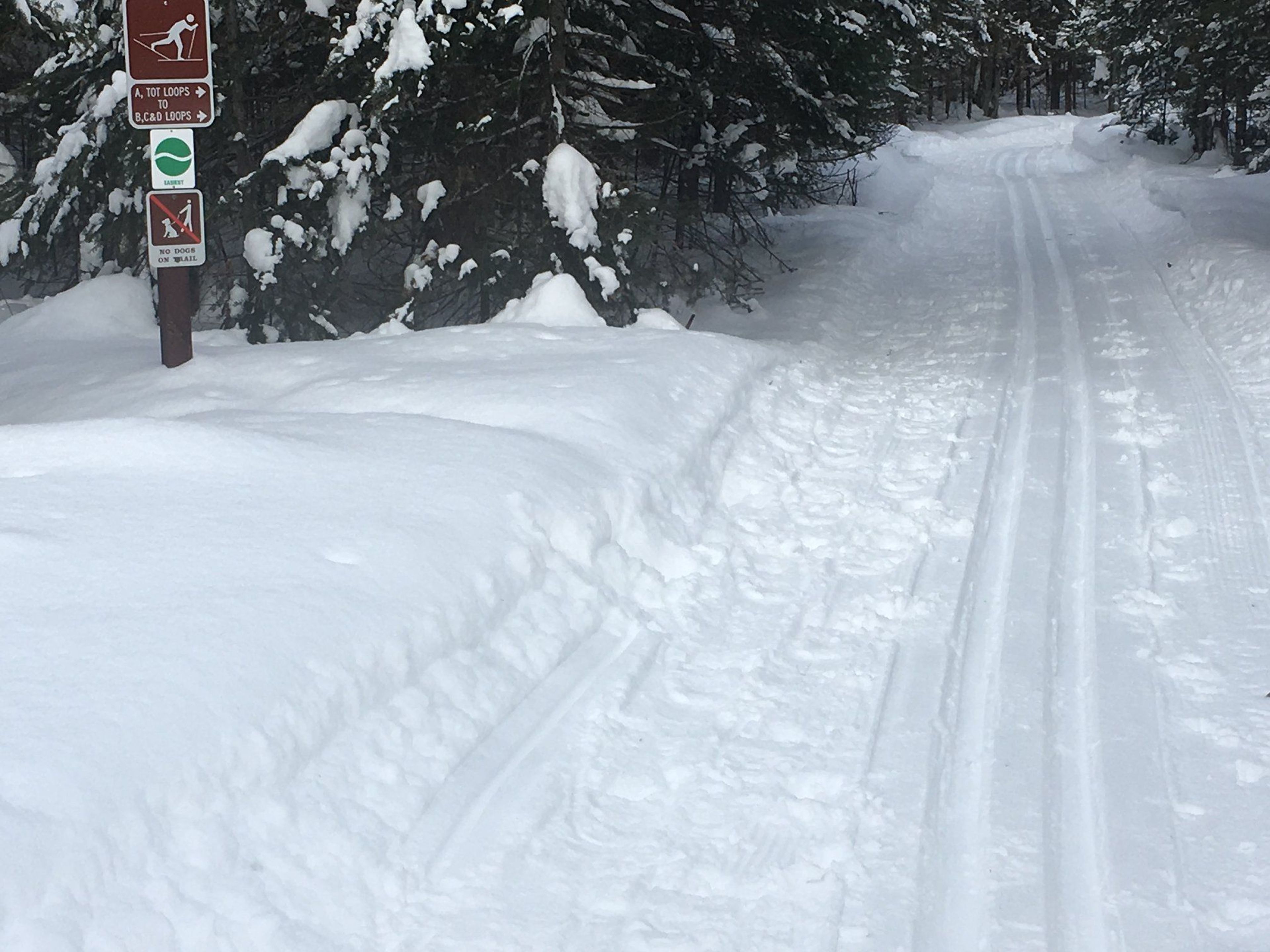 Tracks in the snow. Photo by https://www.facebook.com/rapid.