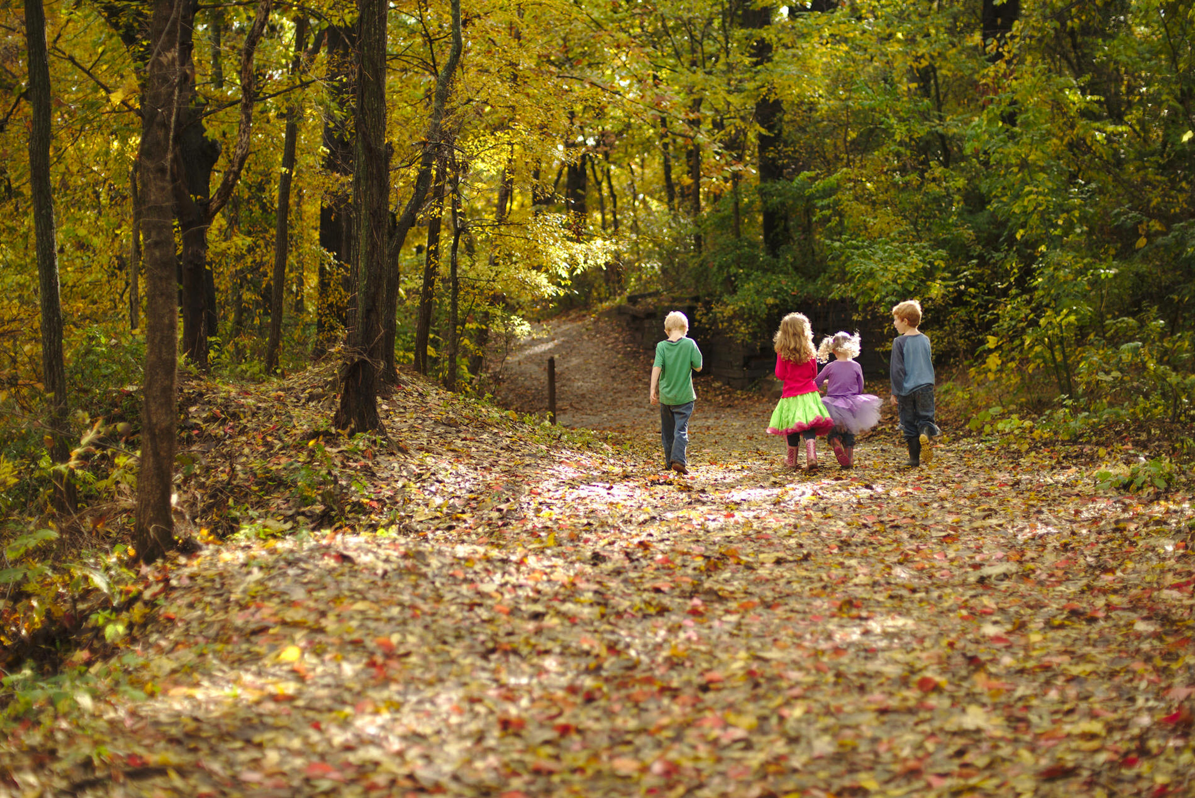 Ray Harral Nature Park