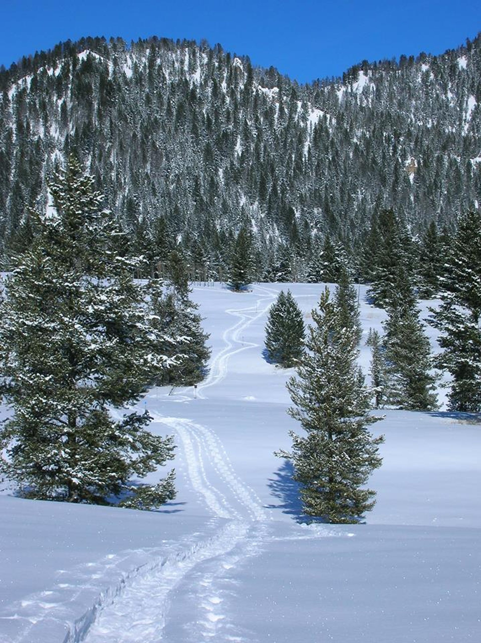 Snowshoe walk at Refuge Point. Photo by USFS-Custer Gallatin NF.