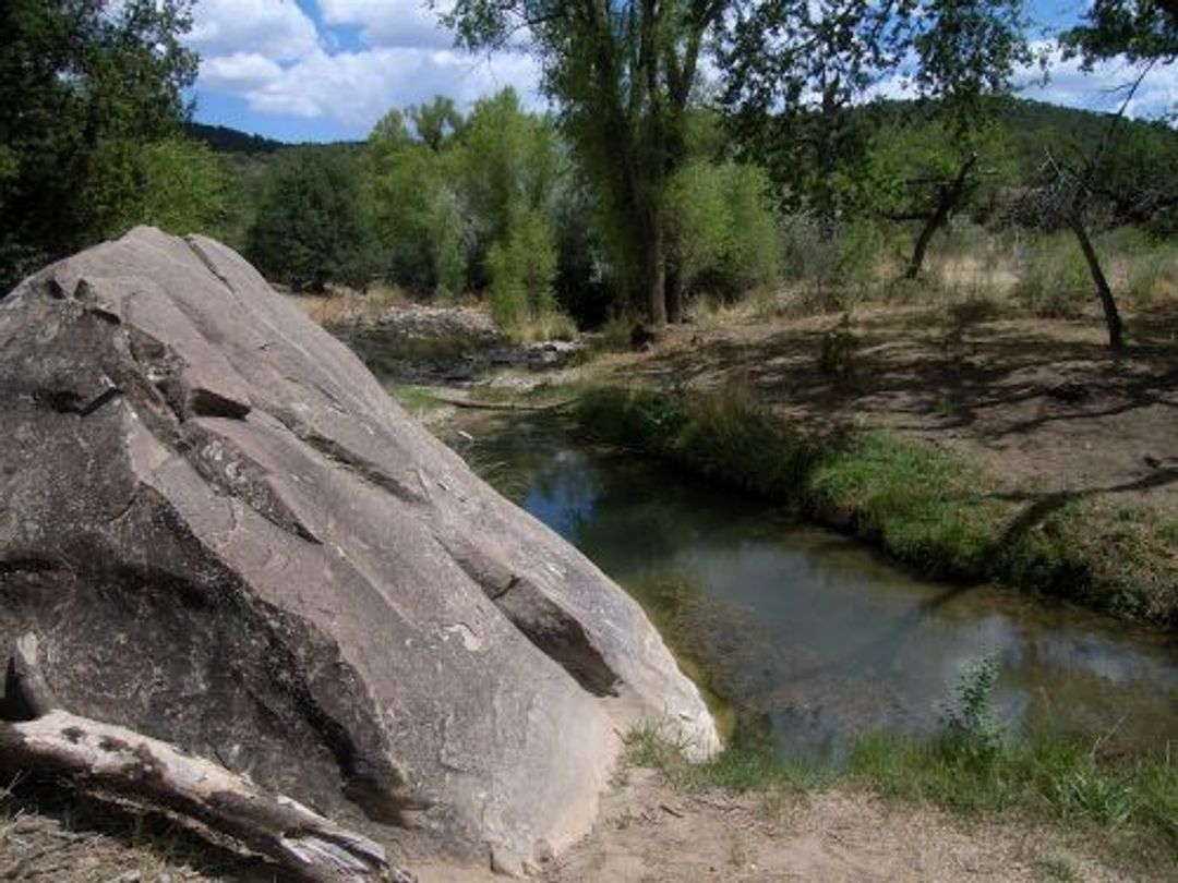 Rio Bonito Petroglyph