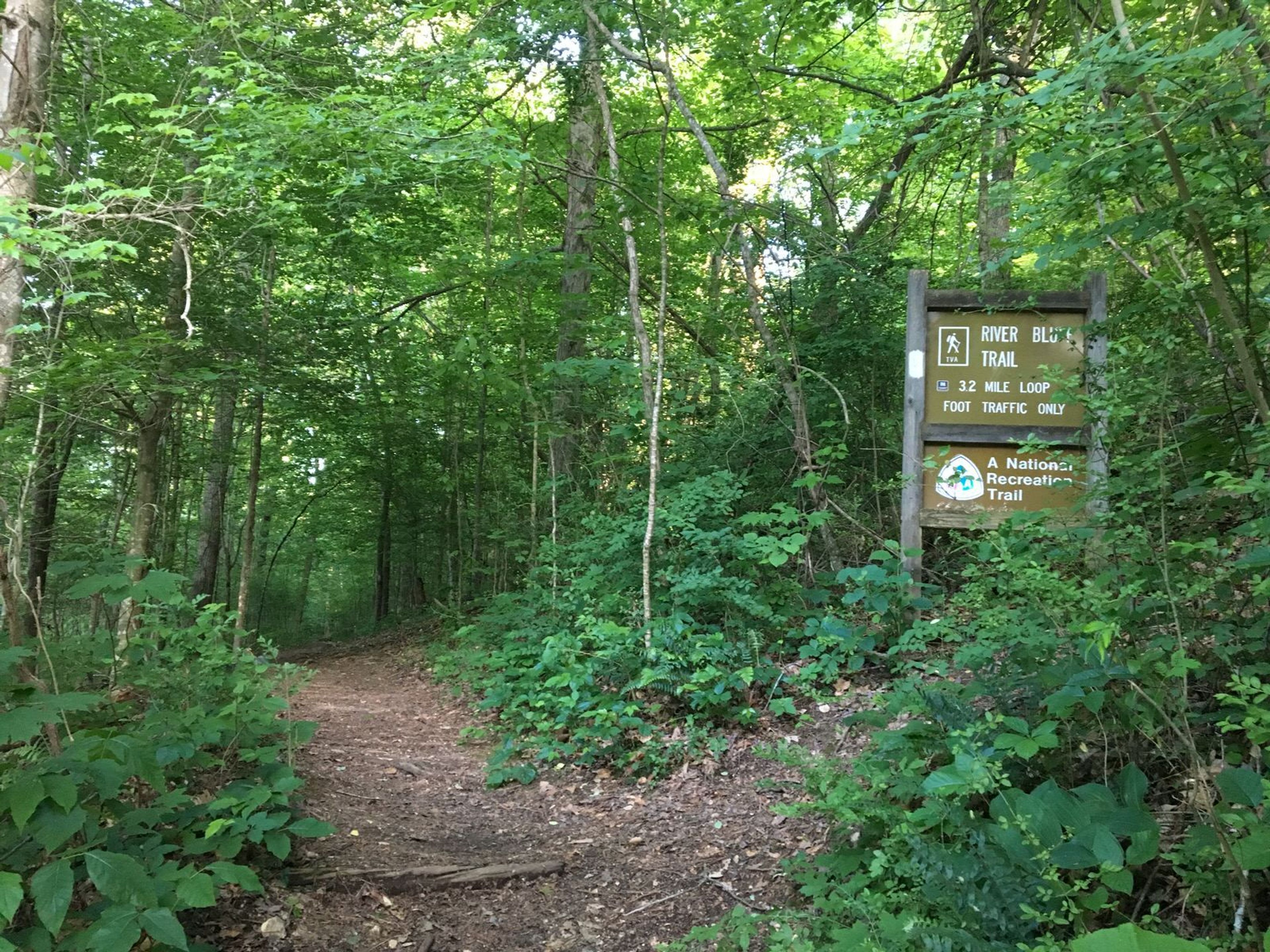 Entrance to the River Bluff Trail. Photo by Donna Kridelbaugh.