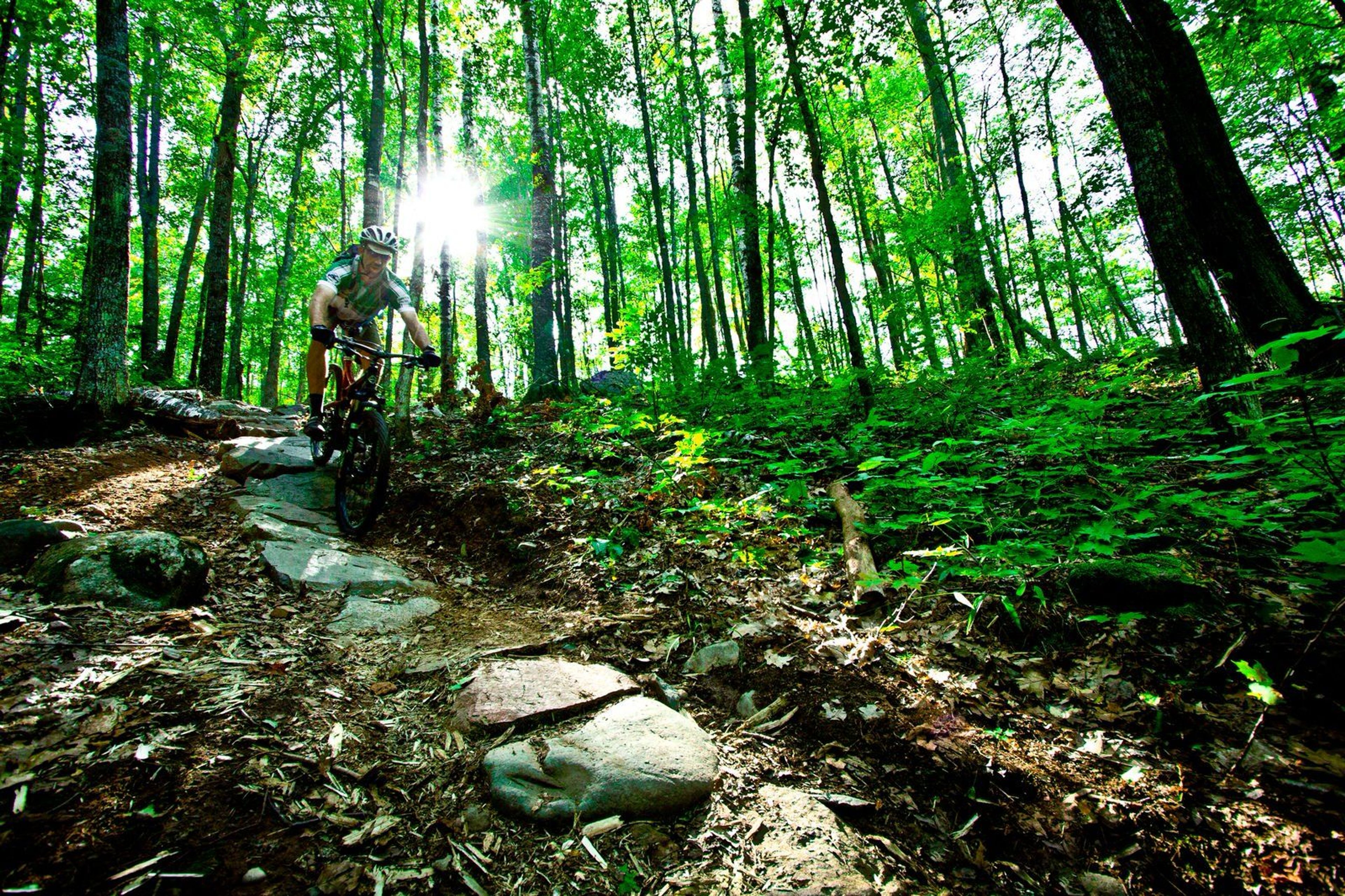 Chequamegon Area Mountain Bike Association rider. Photo by Leslie Kehmeier.