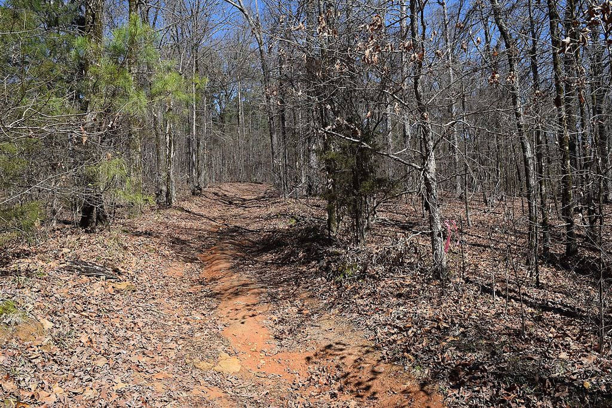 The Rocky Ridge Horse Trail along the northern side of Enid Lake, Mississippi. Photo by Fredlyfish4/wiki.