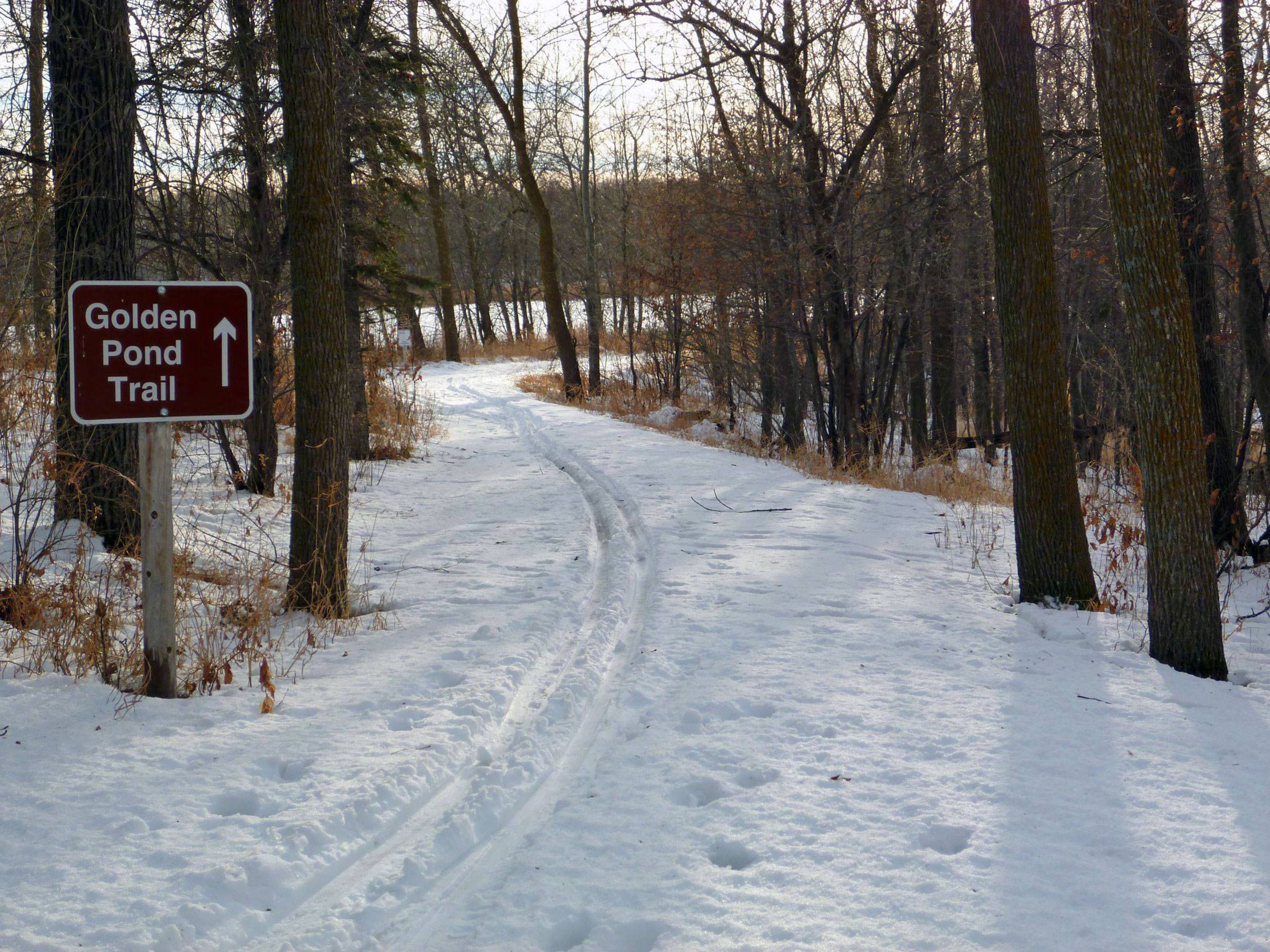 Path  in winter at Rydell Refuge. Photo by USFWS.