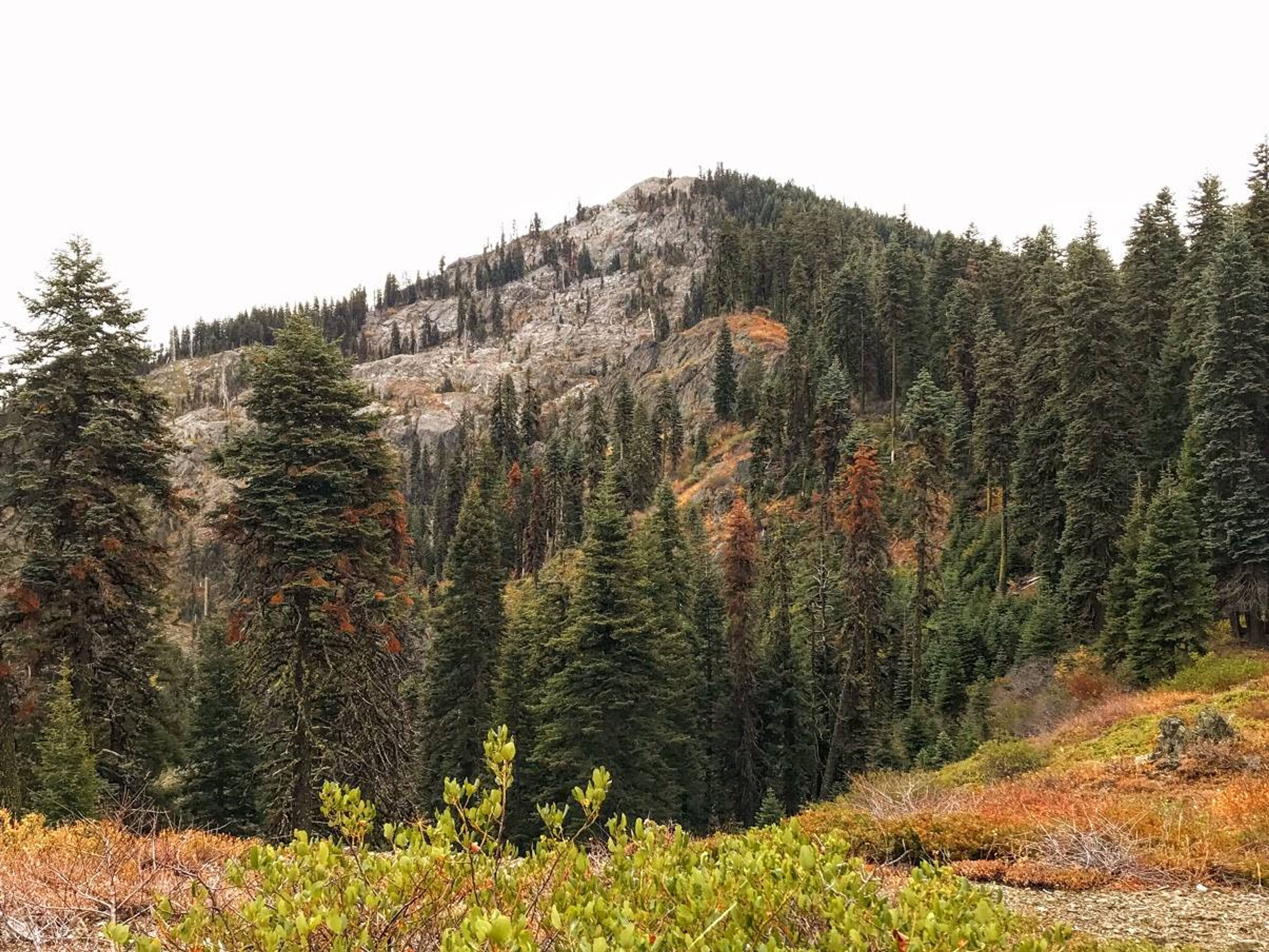 Salmon Summit Trail. Photo by Rob DiPerna.