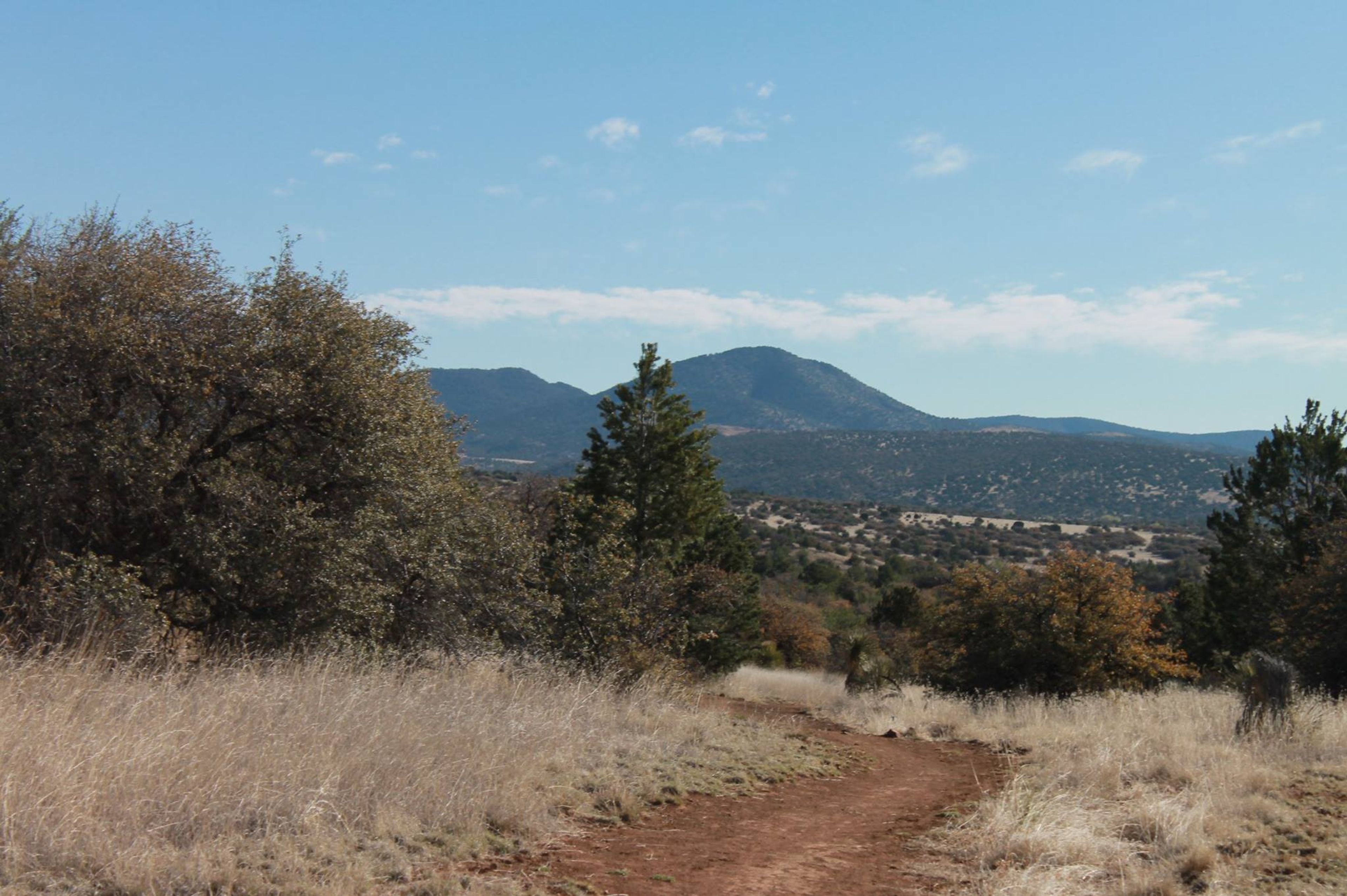 Fort Bayard Trail System. Photo by USFS.