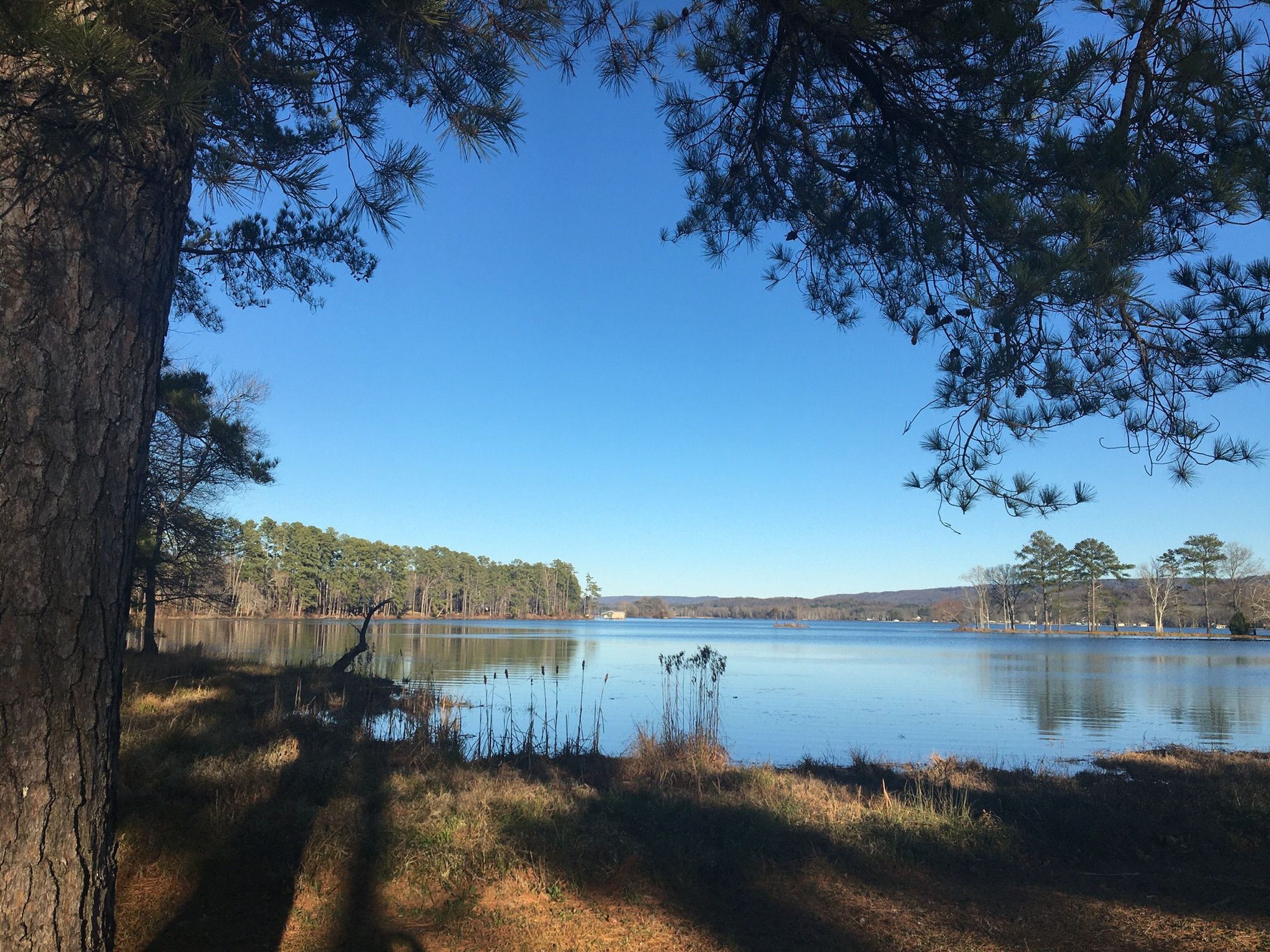 Prime location to take in scenic lake views and observe waterfowl. Photo by Donna Kridelbaugh.