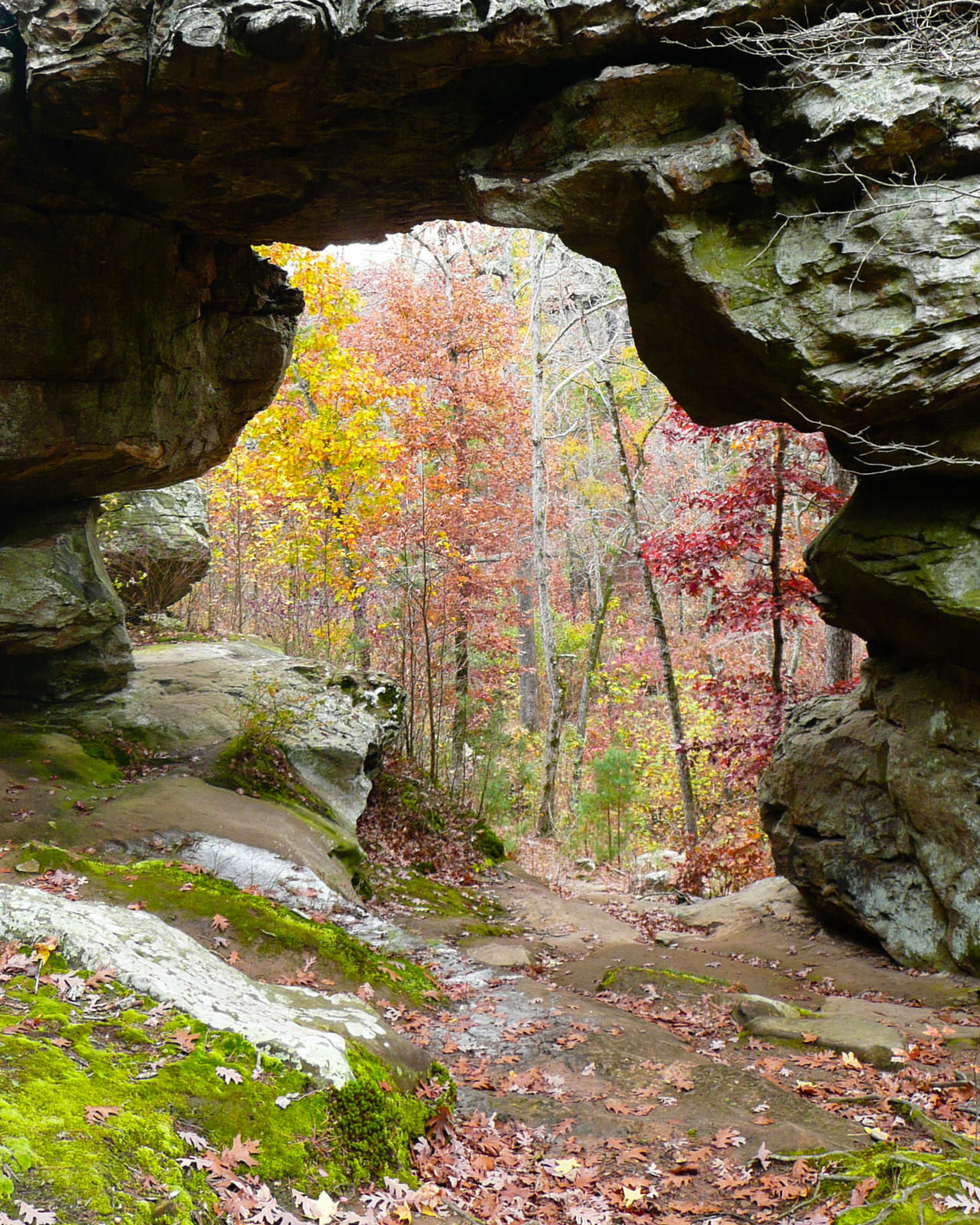 Natural Bridge on Seven Hollows Trail. Photo by Bryan Hodges.