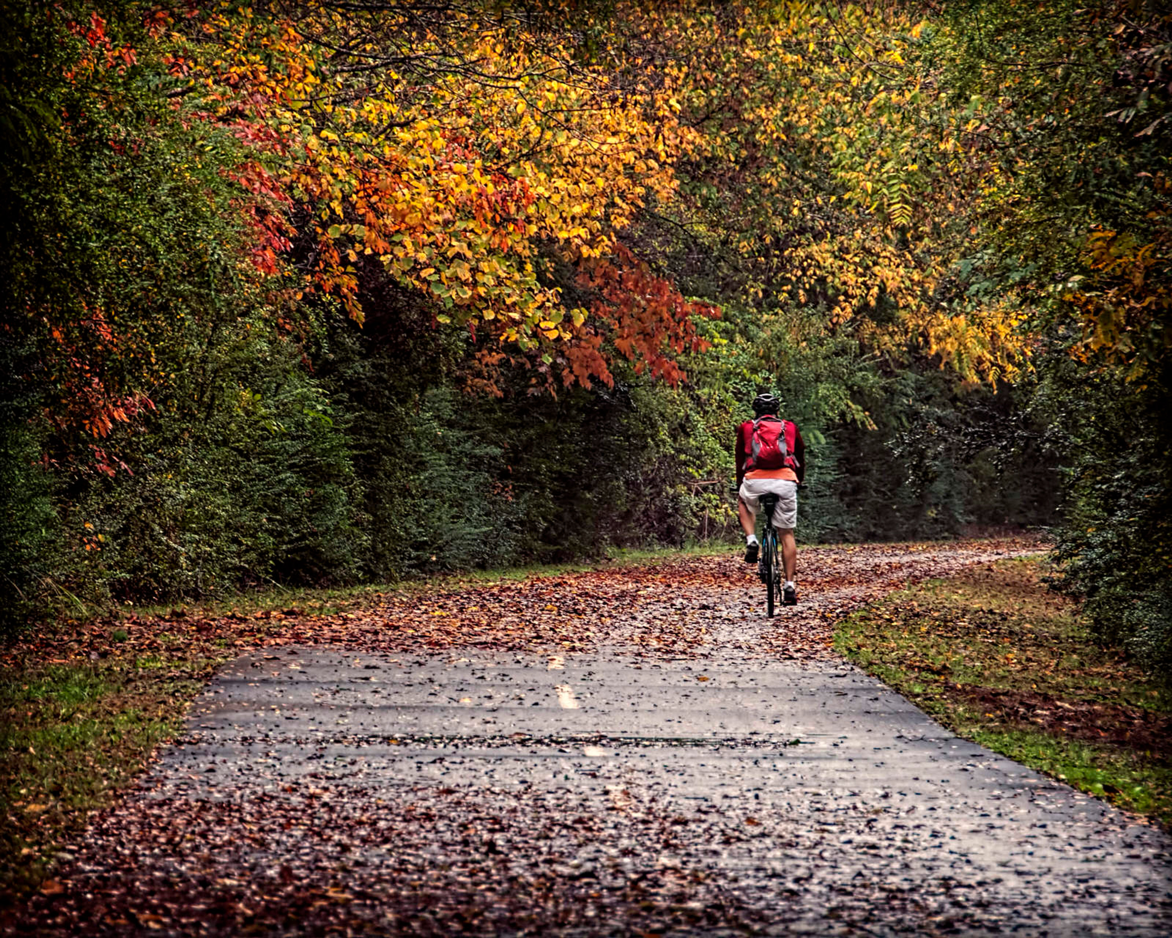 A bicyclist on a beautiful autumn day. Photo by Clara Williams.