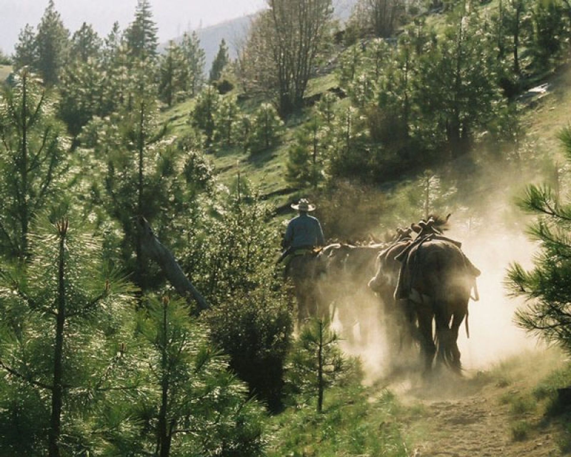 Dusty trail into base camp. photo by Julie Green.